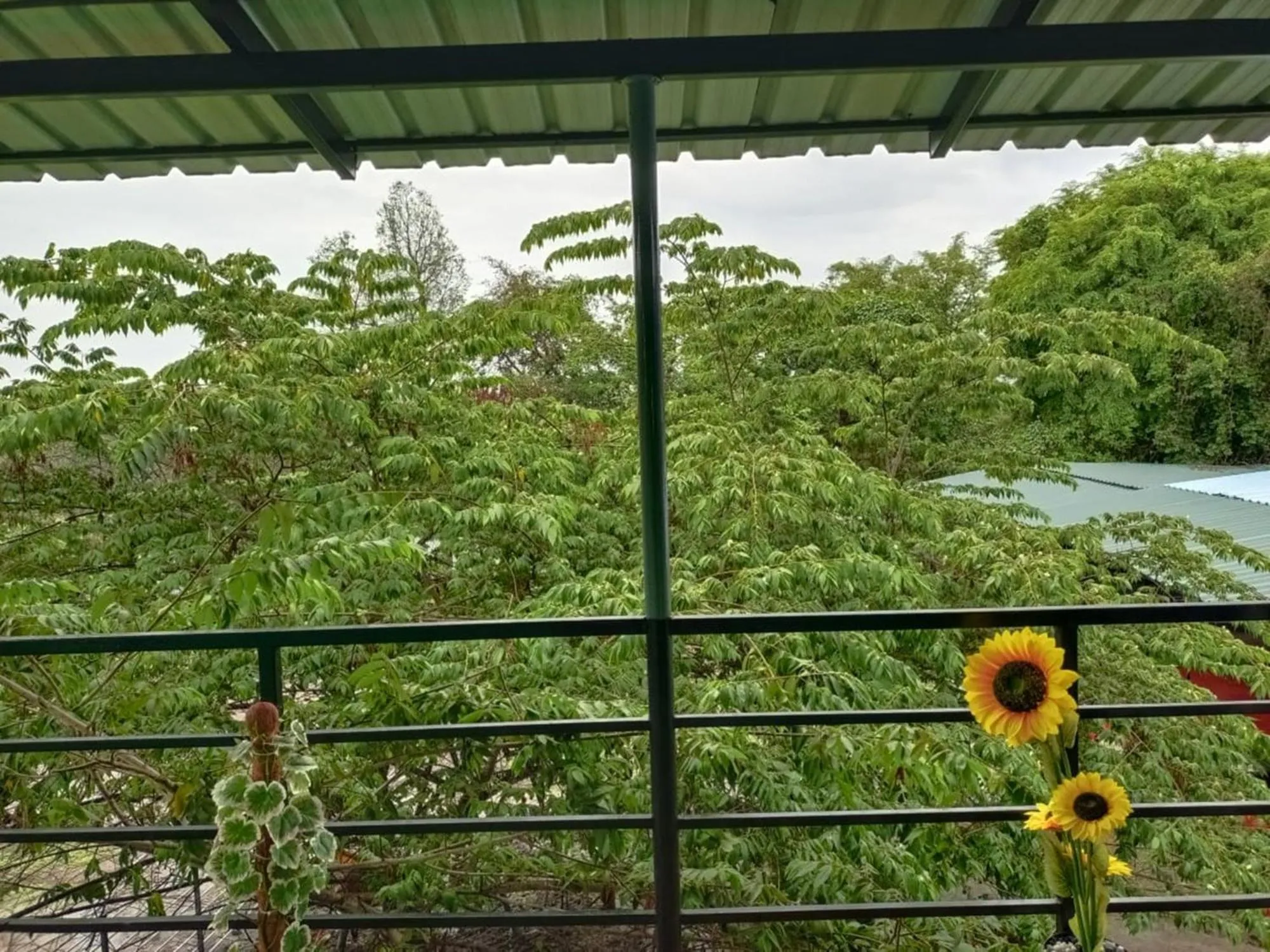 Spring in Wild Tusker Homestay Masinagudi by LexStays