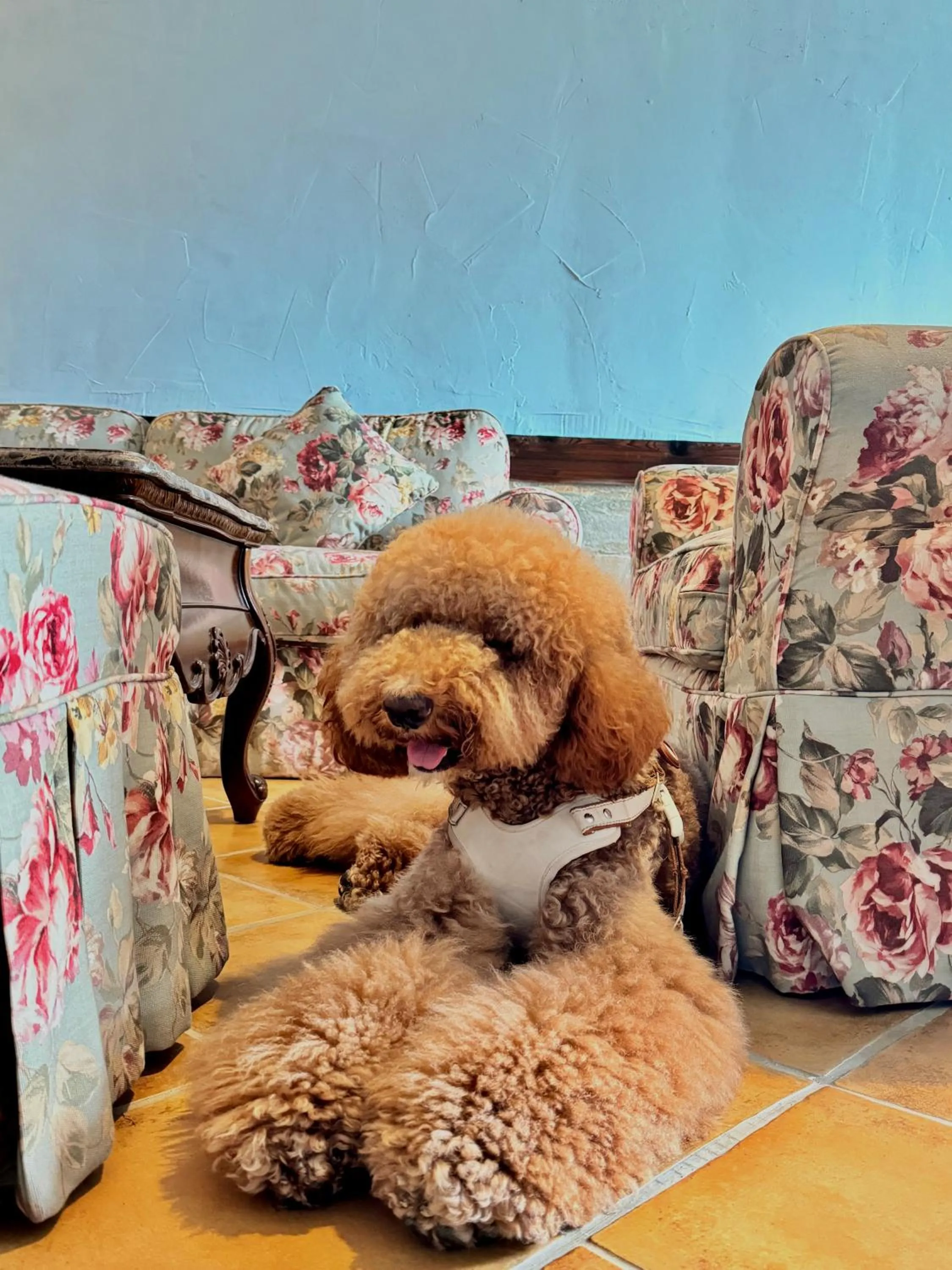 Living room in 日初雲來民宿