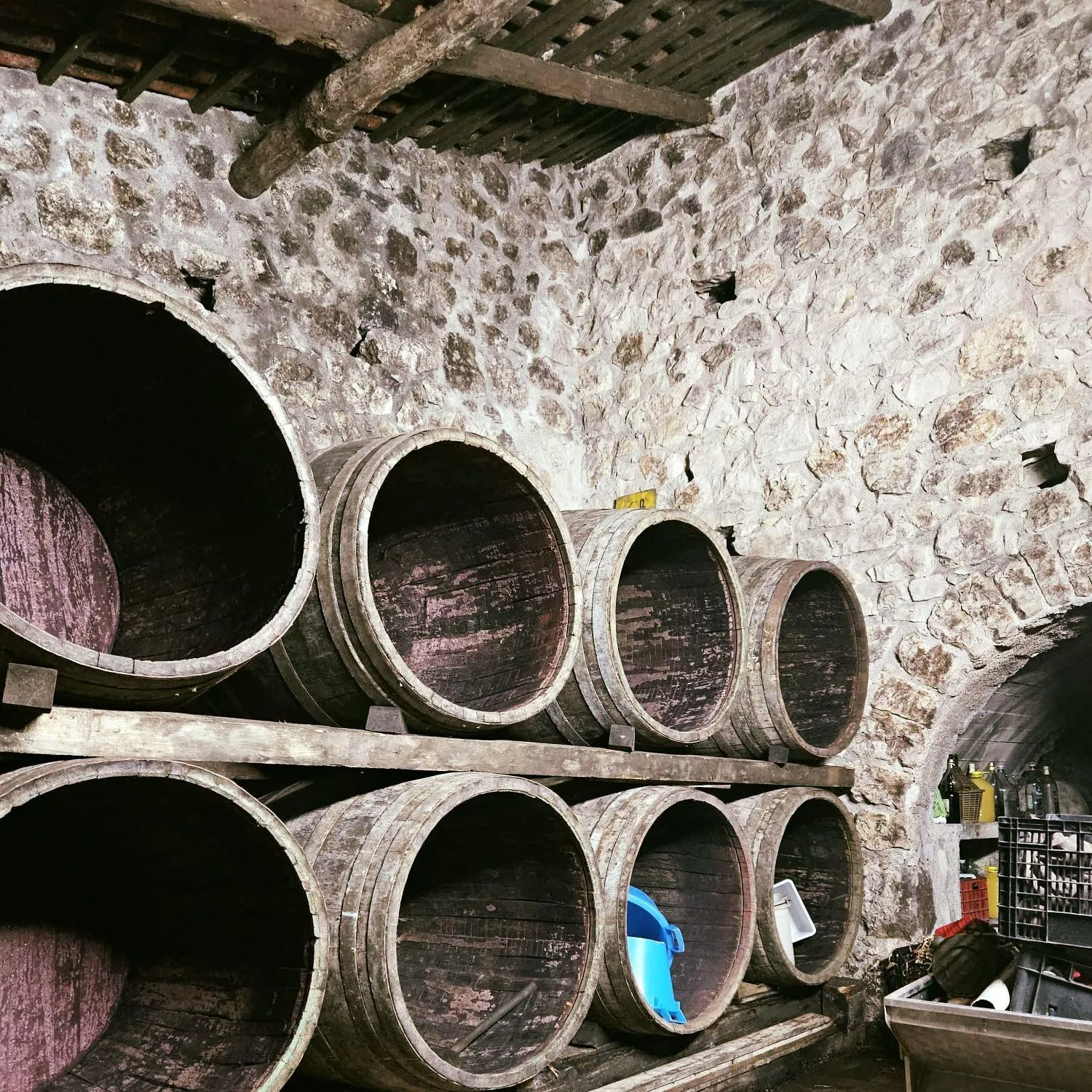 Agriturismo La Sfruscià Resort