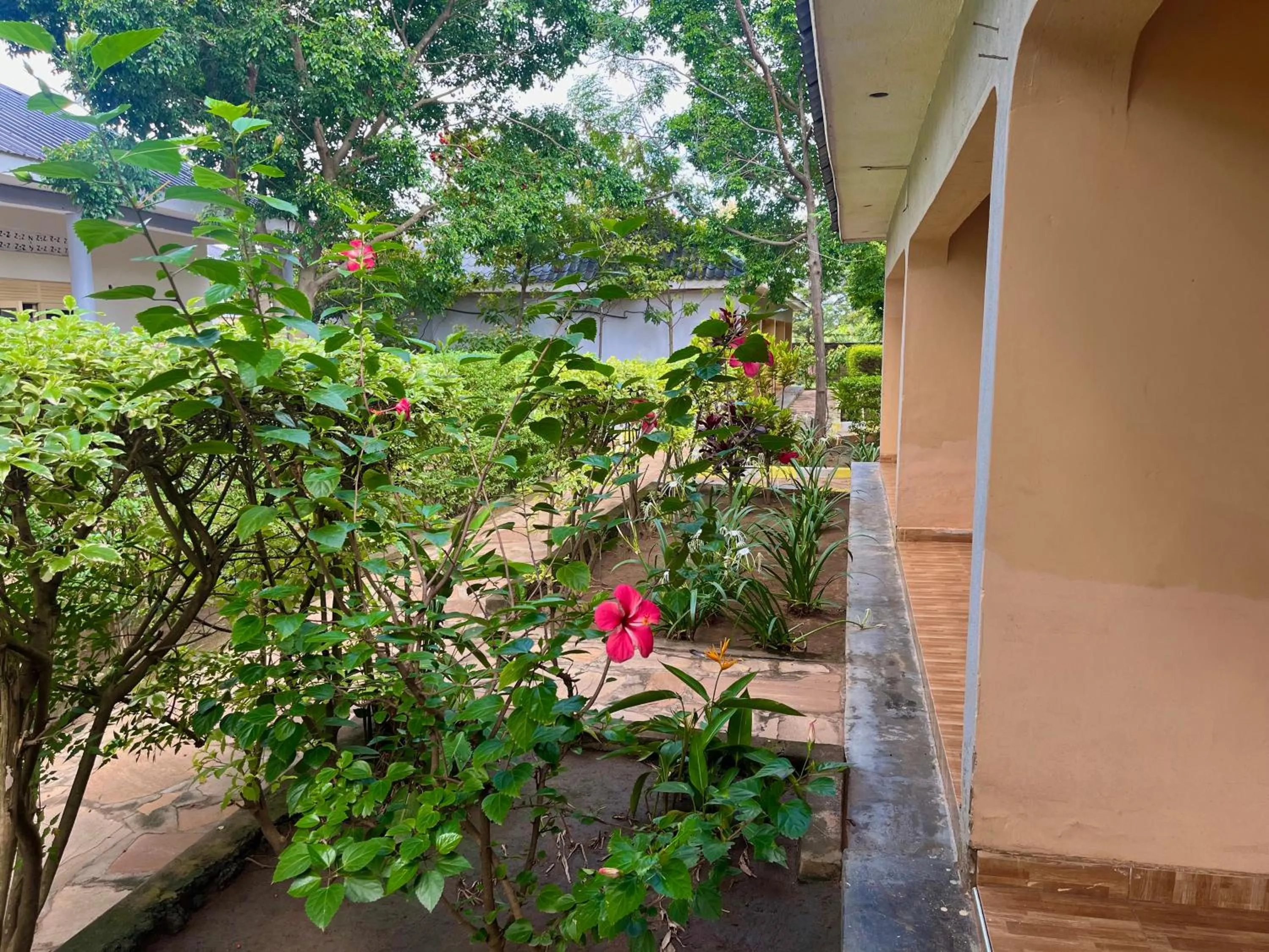 Lavic Country Resort Adjumani