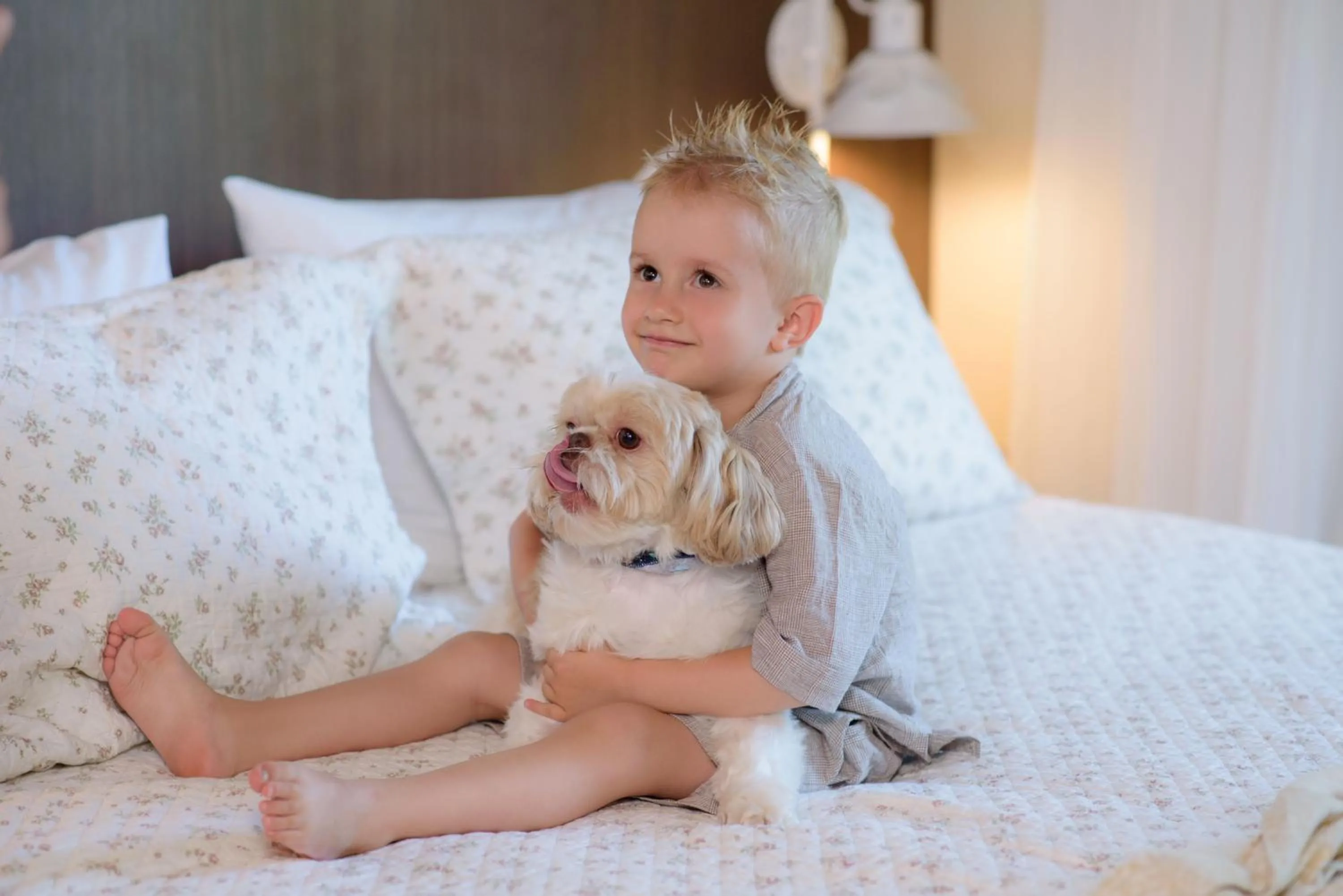 Pets in Hotel Kehl Haus