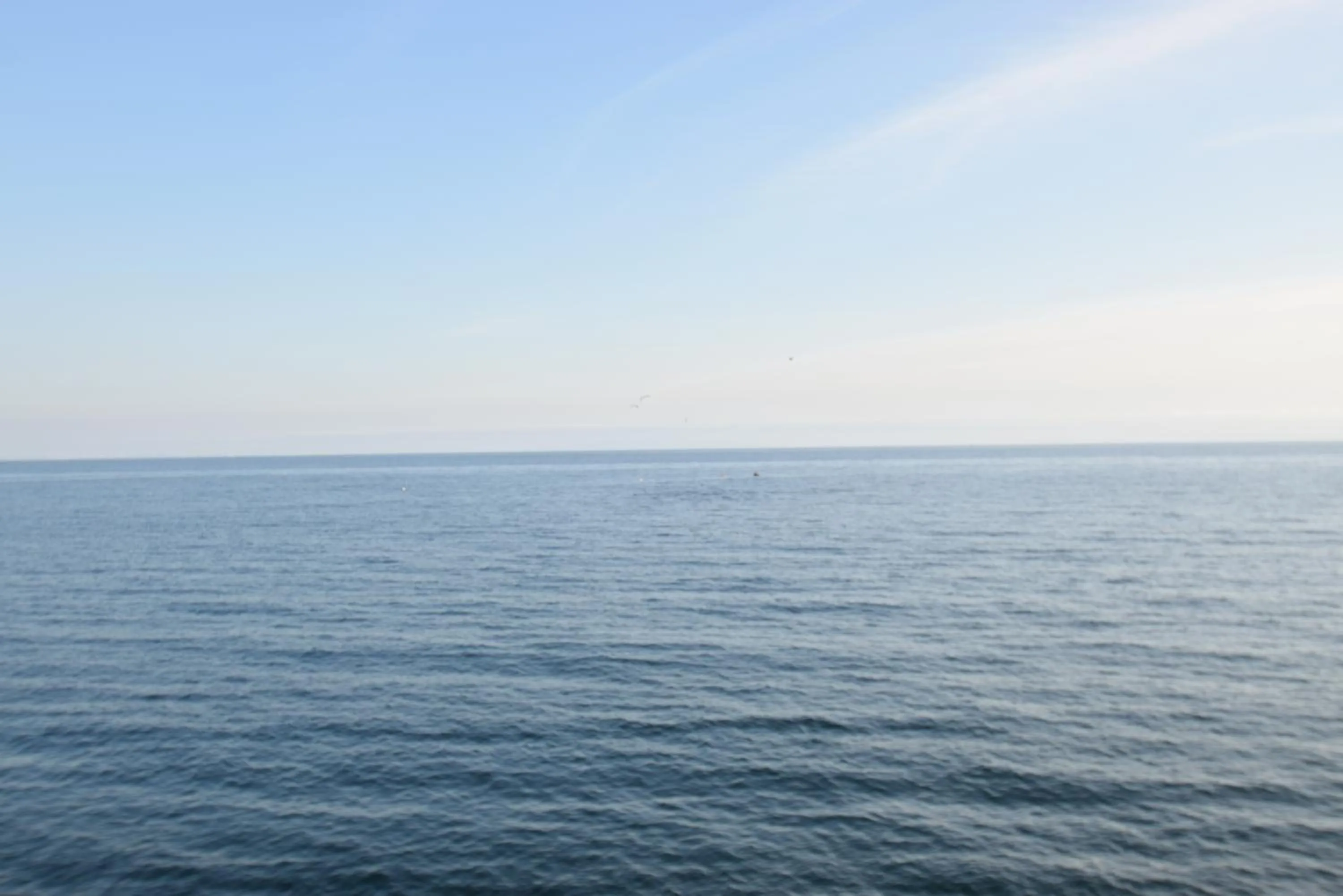 Neighbourhood in Malibu Private Beach Apartments