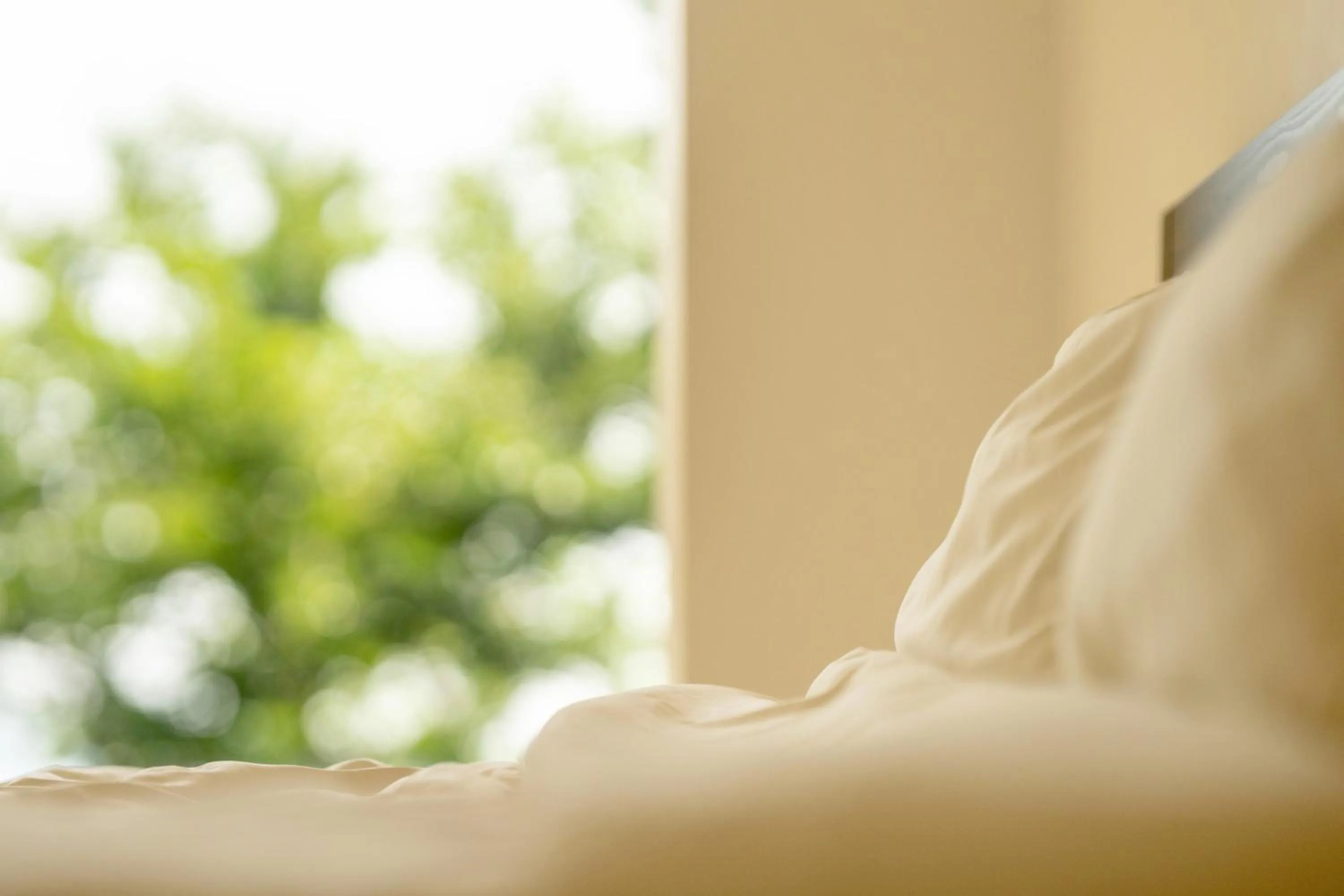 Bed in Backpackers Villa