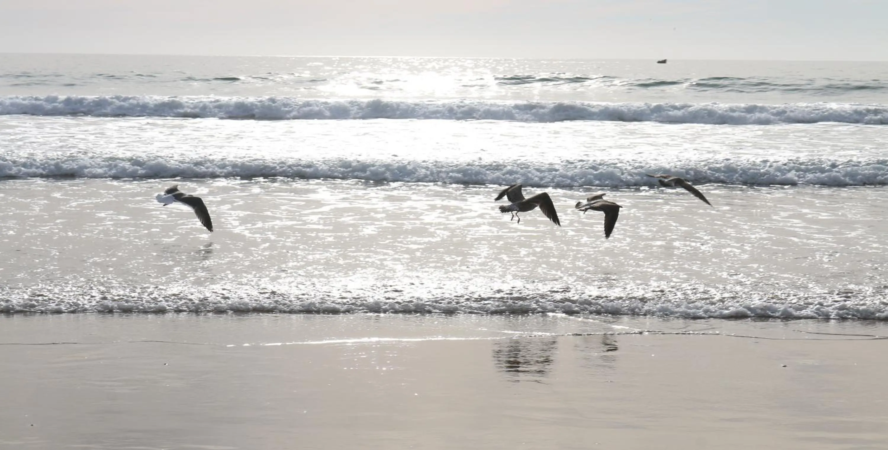 Beach in Lunja Village - Agadir