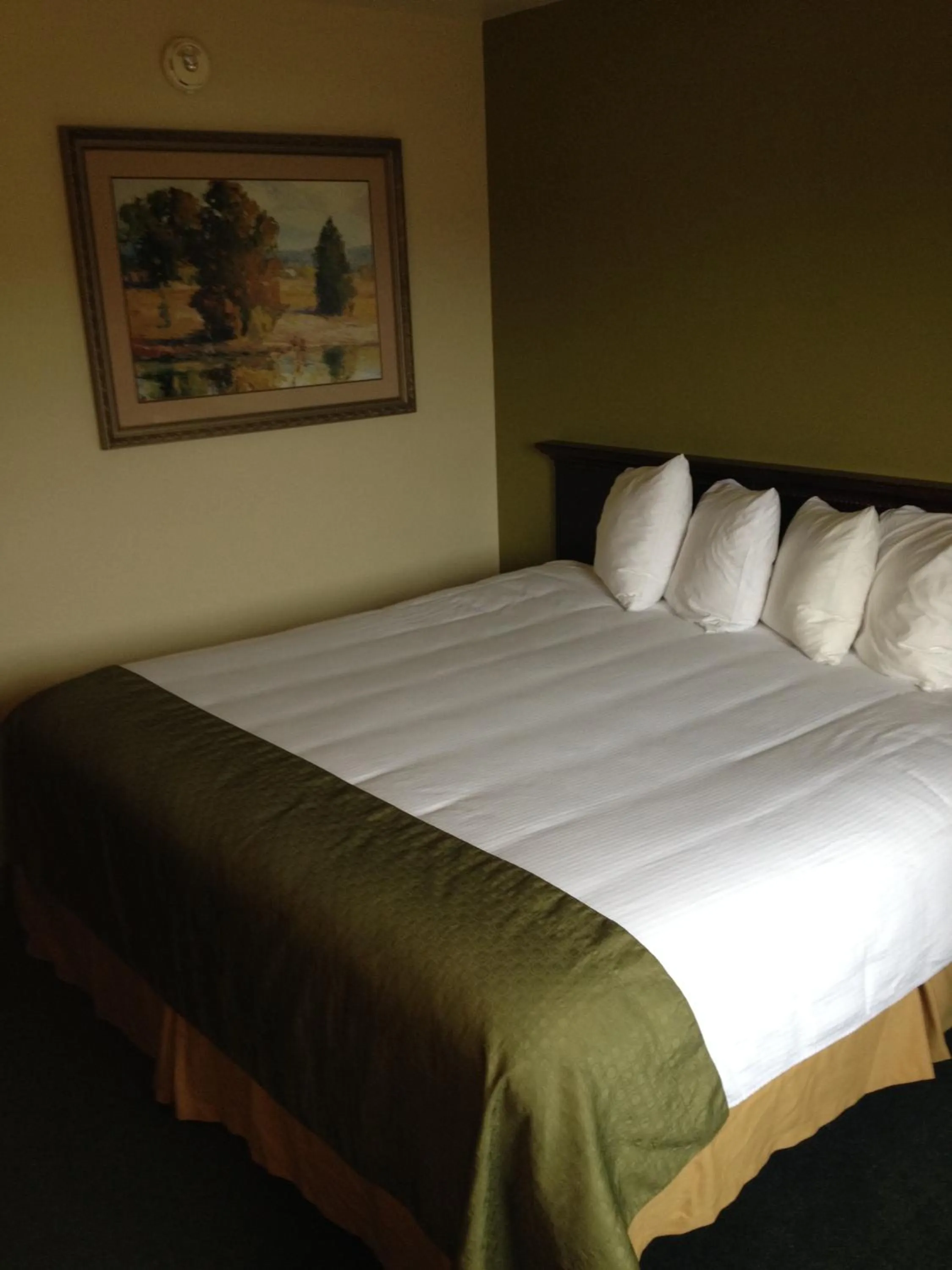 Bed in Super 8 by Wyndham McCall