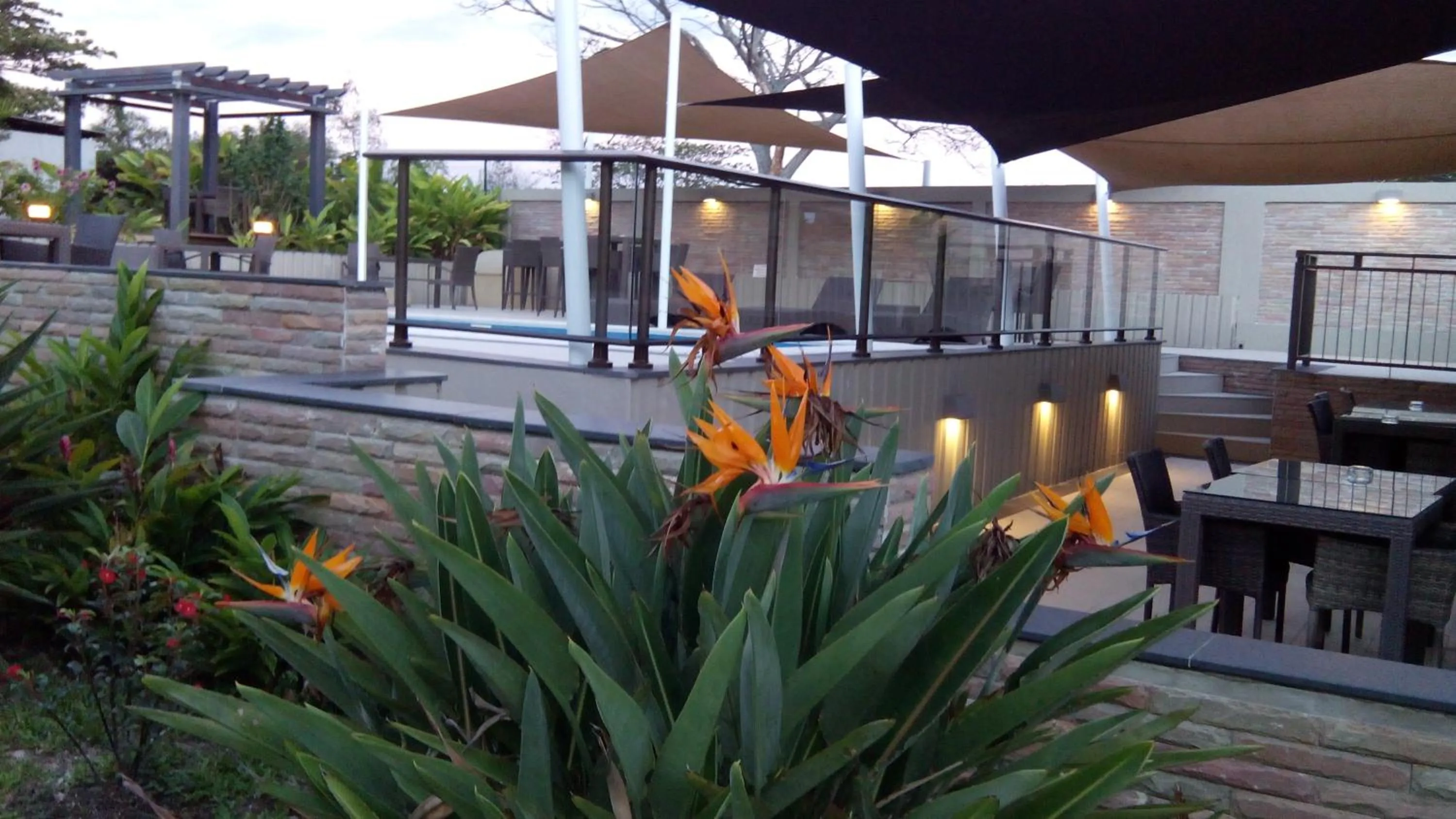 Patio in Hotel Colibri