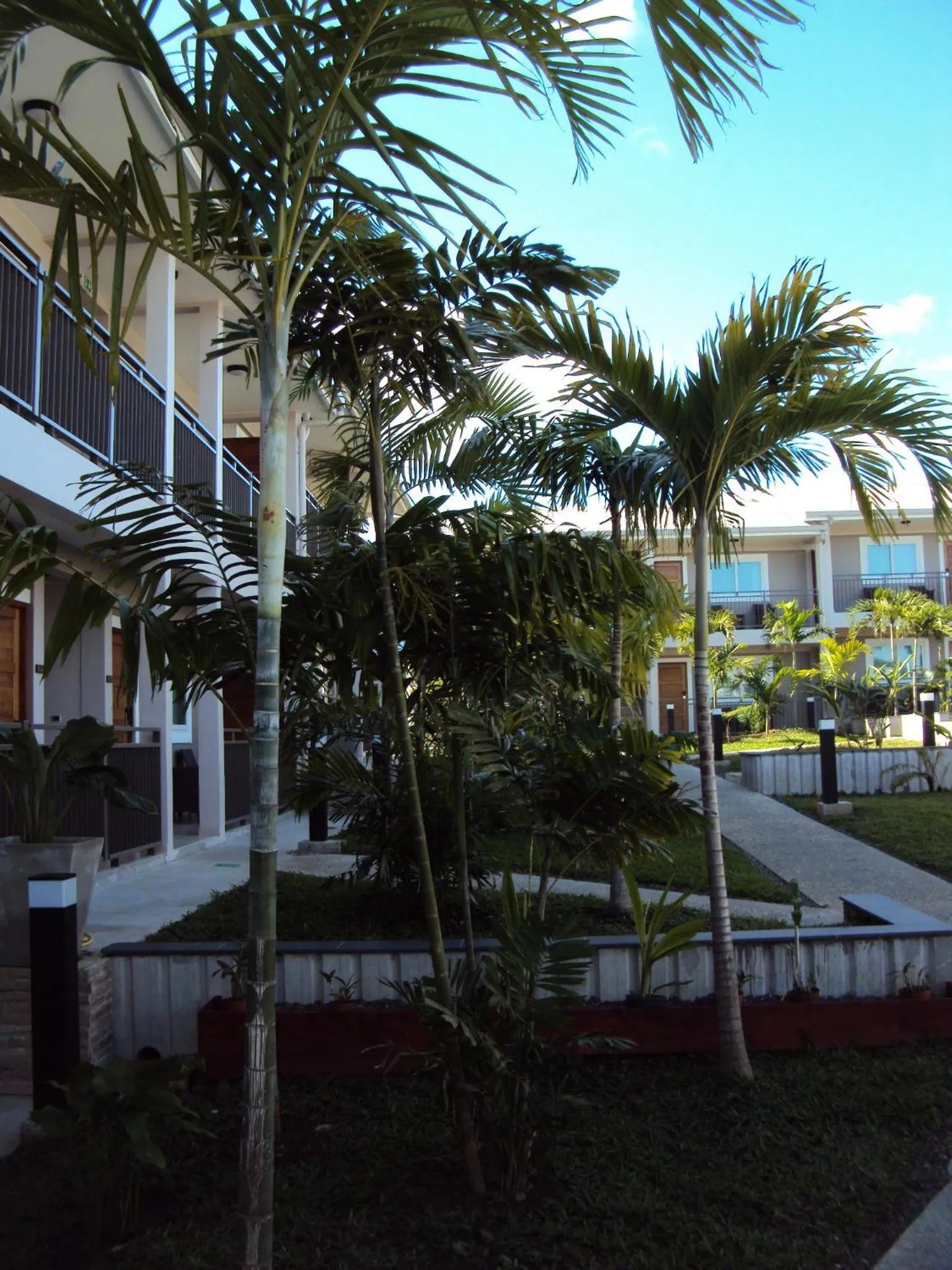 Facade/entrance in Hotel Colibri
