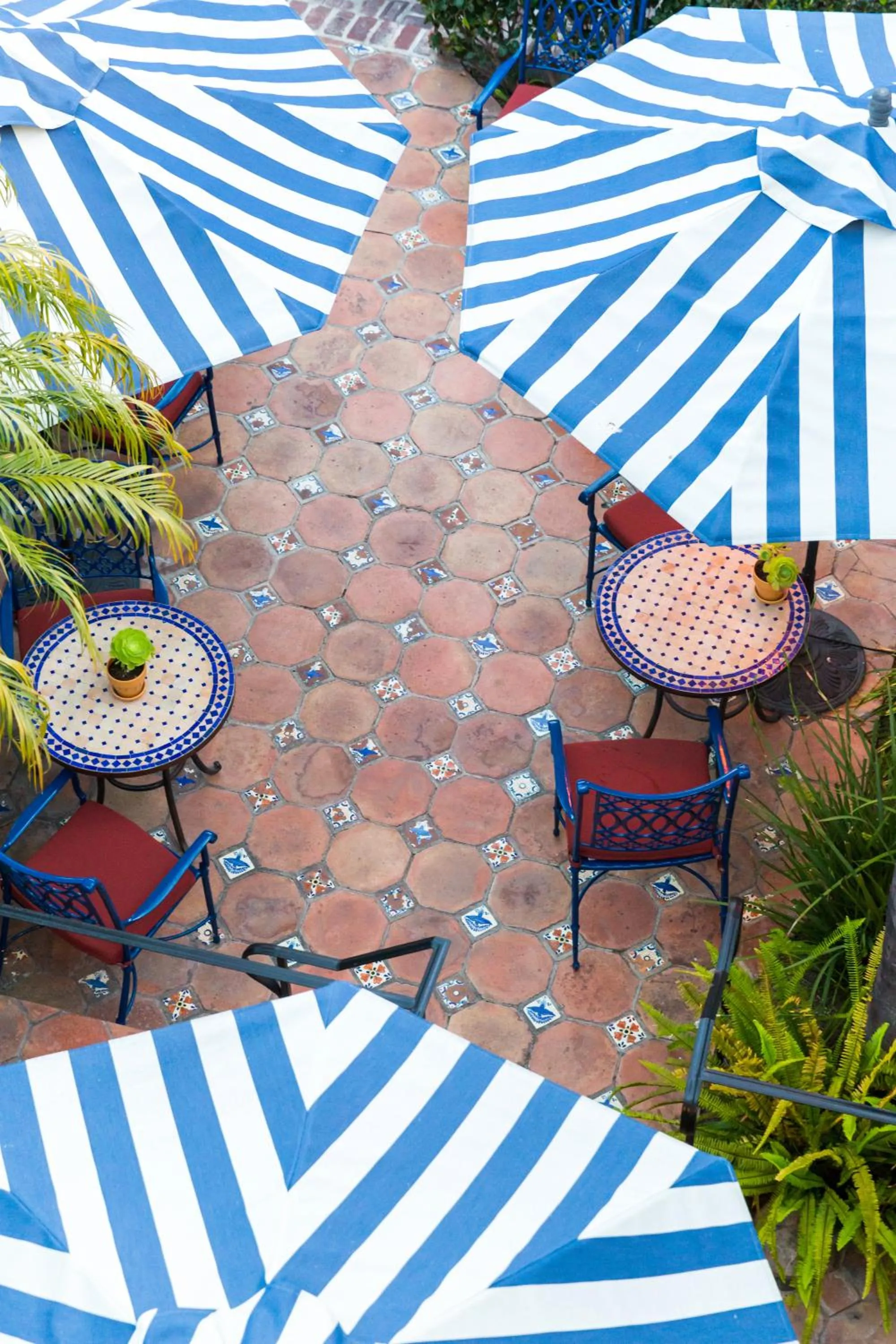 Garden view in Casa Laguna Hotel & Spa