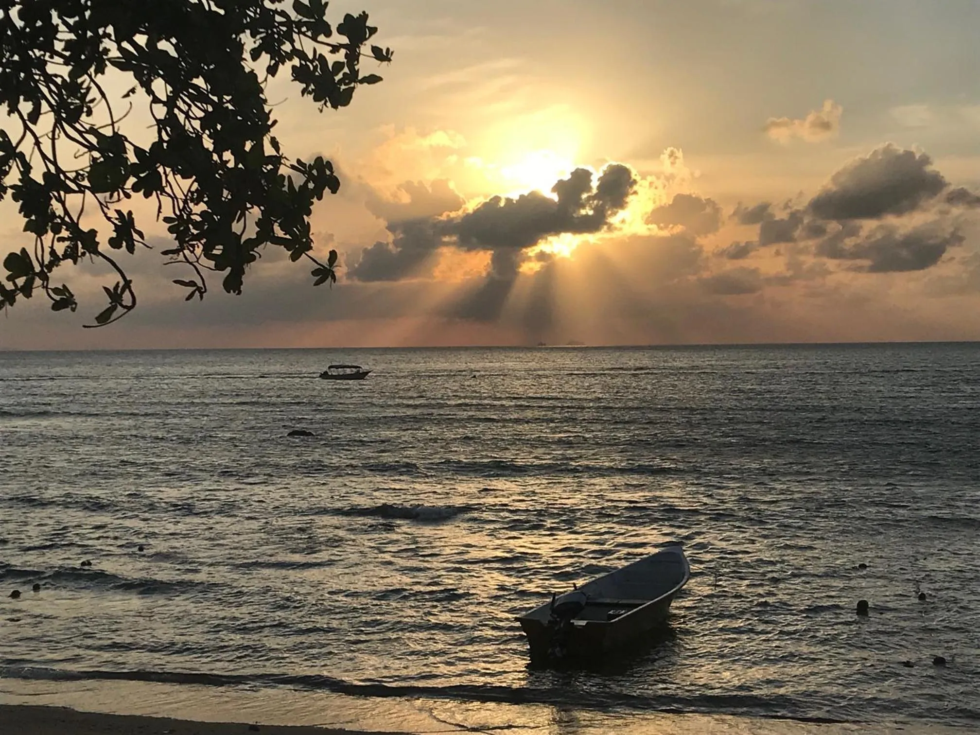 Natural landscape in Melina Beach Resort