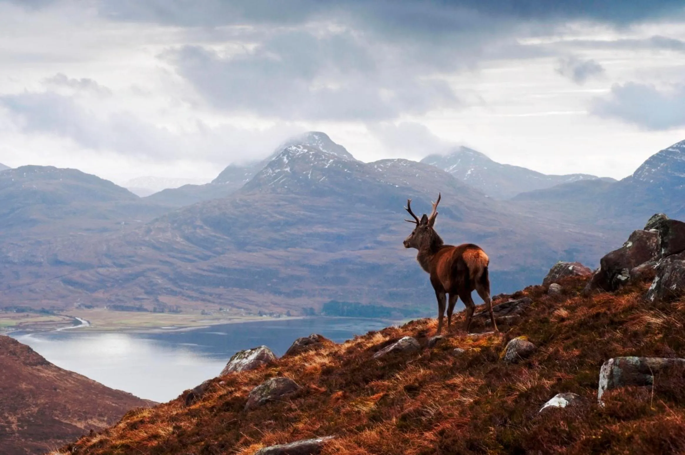 Area and facilities in Nethybridge Hotel