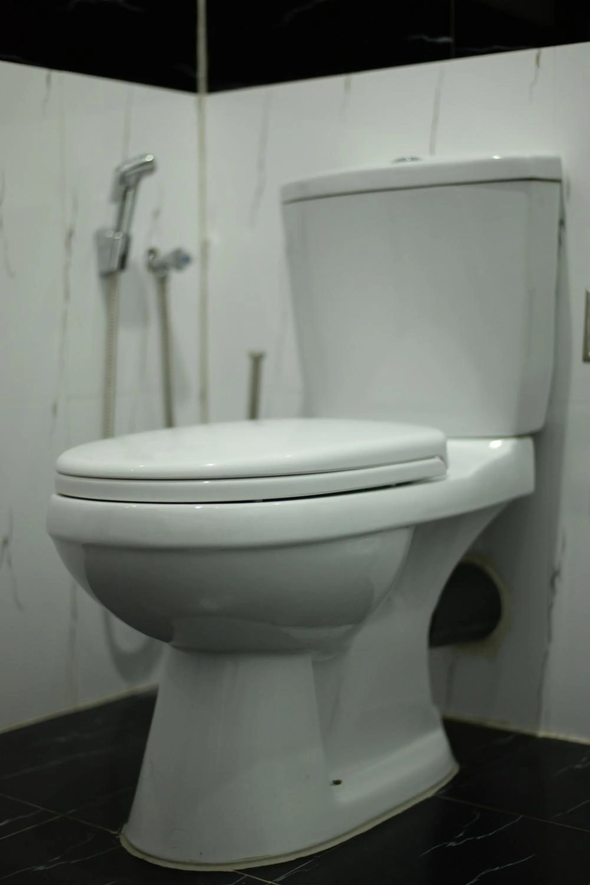 Toilet in Hotel Agape