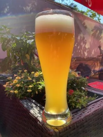 Hotel zum Ziehbrunnen