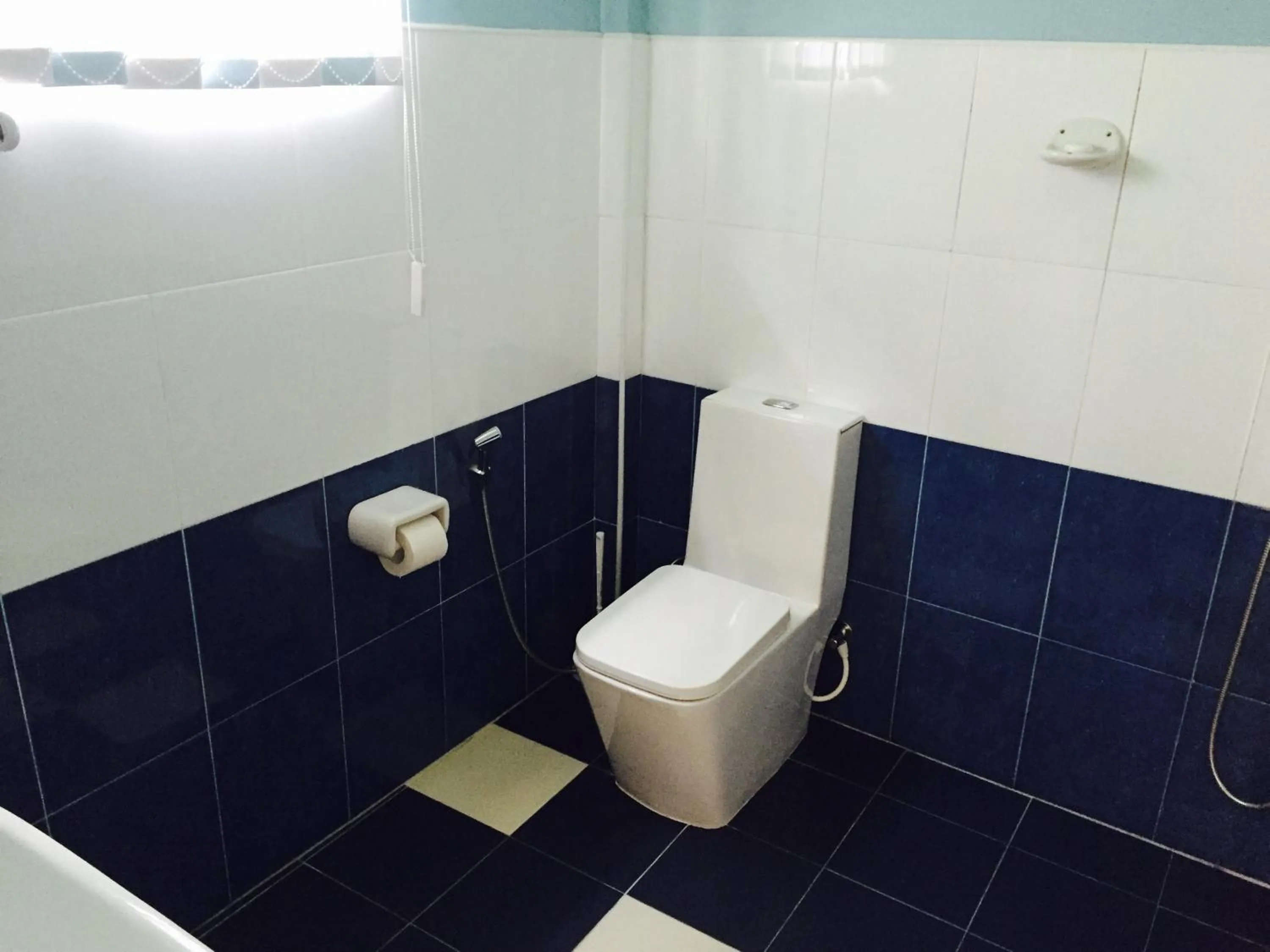 Toilet in Peacock Villa