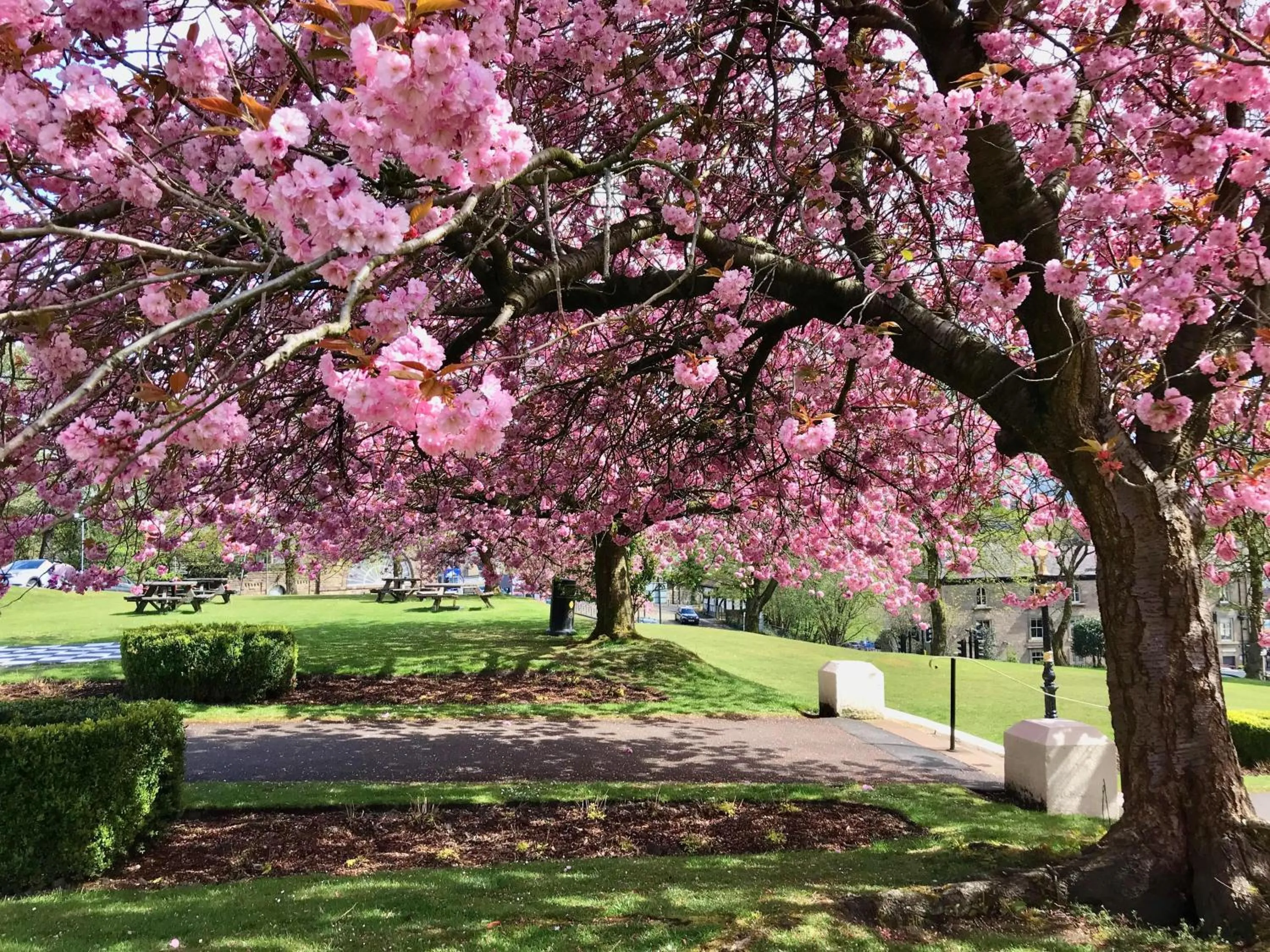 Garden in The Palace Hotel Buxton & Spa