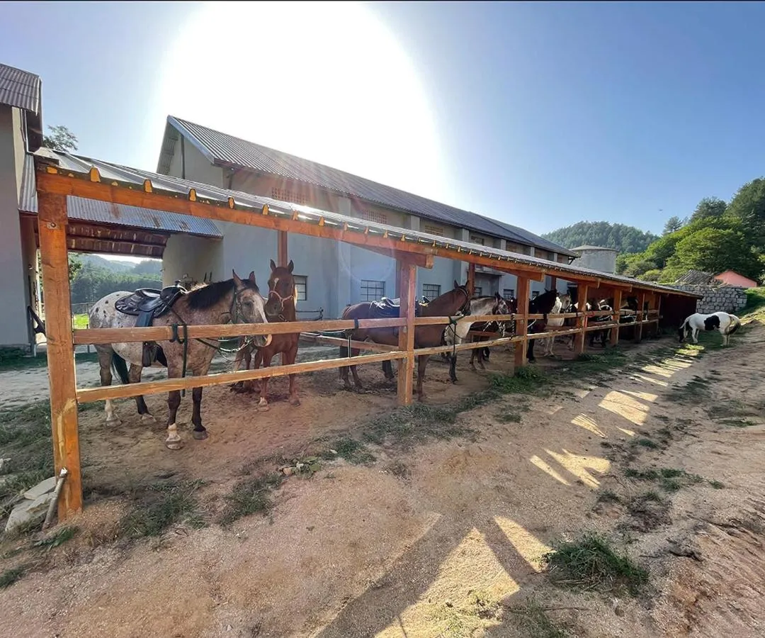 Horse-riding in Hotel Camigliatello