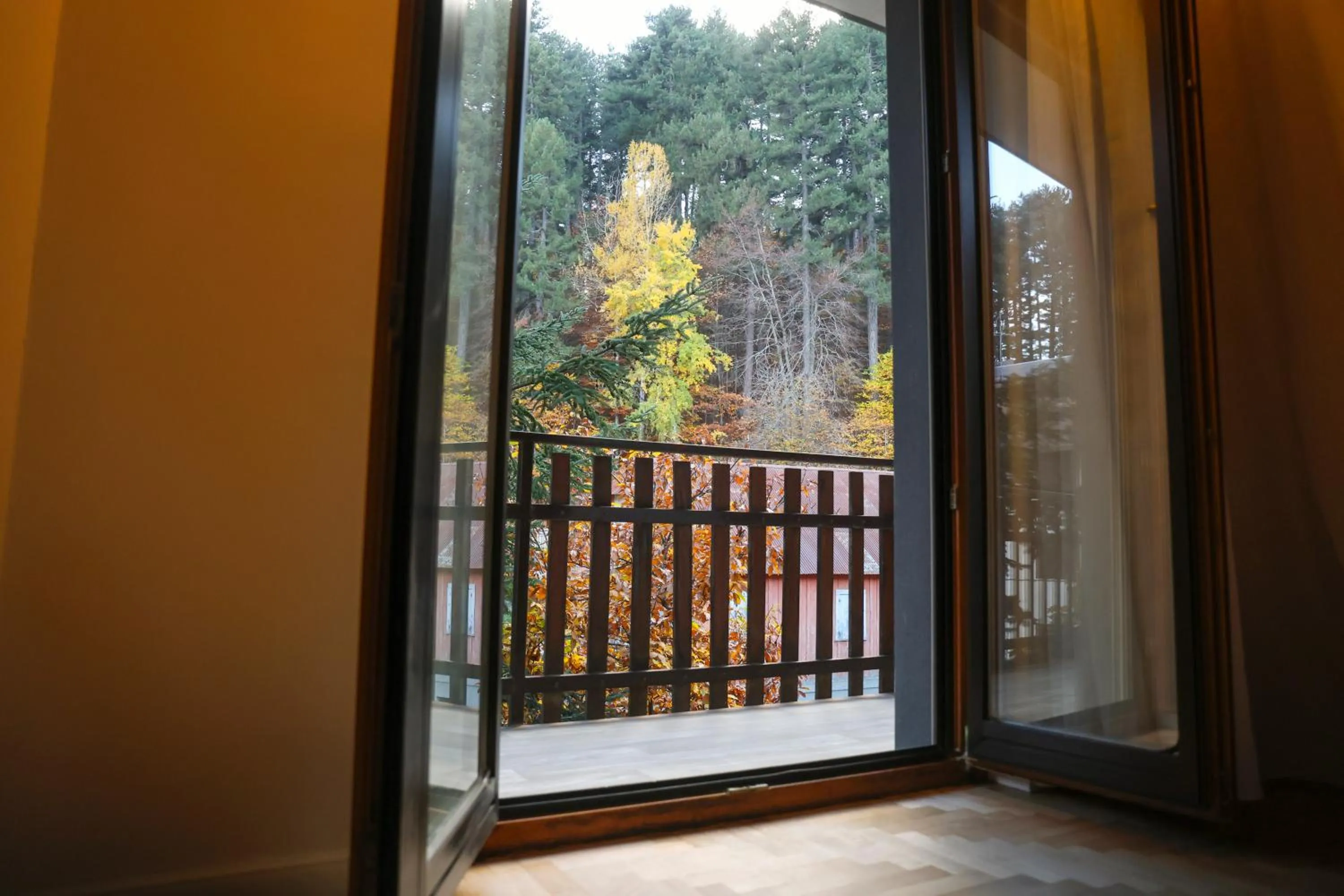 Balcony/Terrace in Hotel Camigliatello