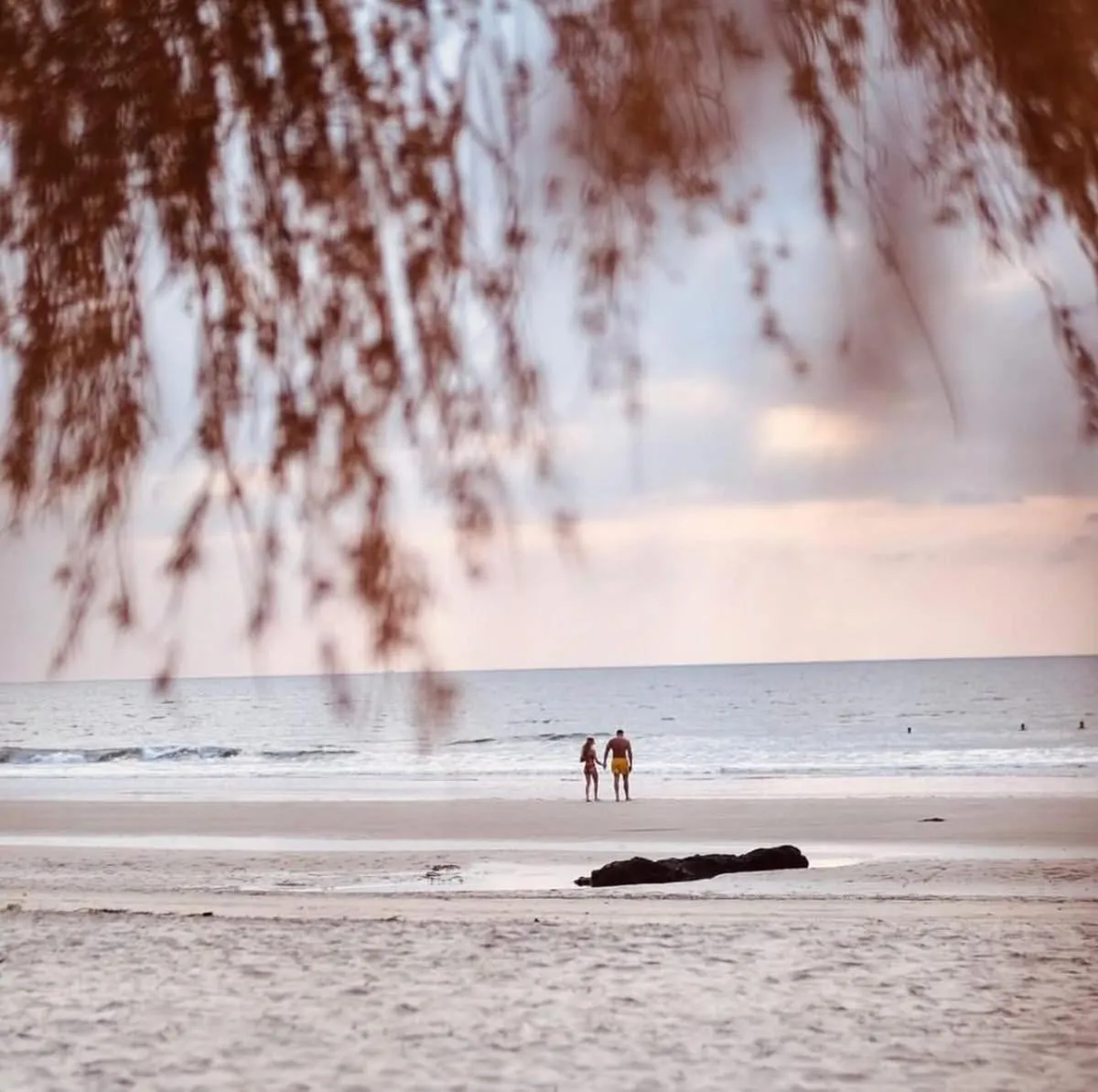 Anahata Retreat Beach Front Ashwem Goa