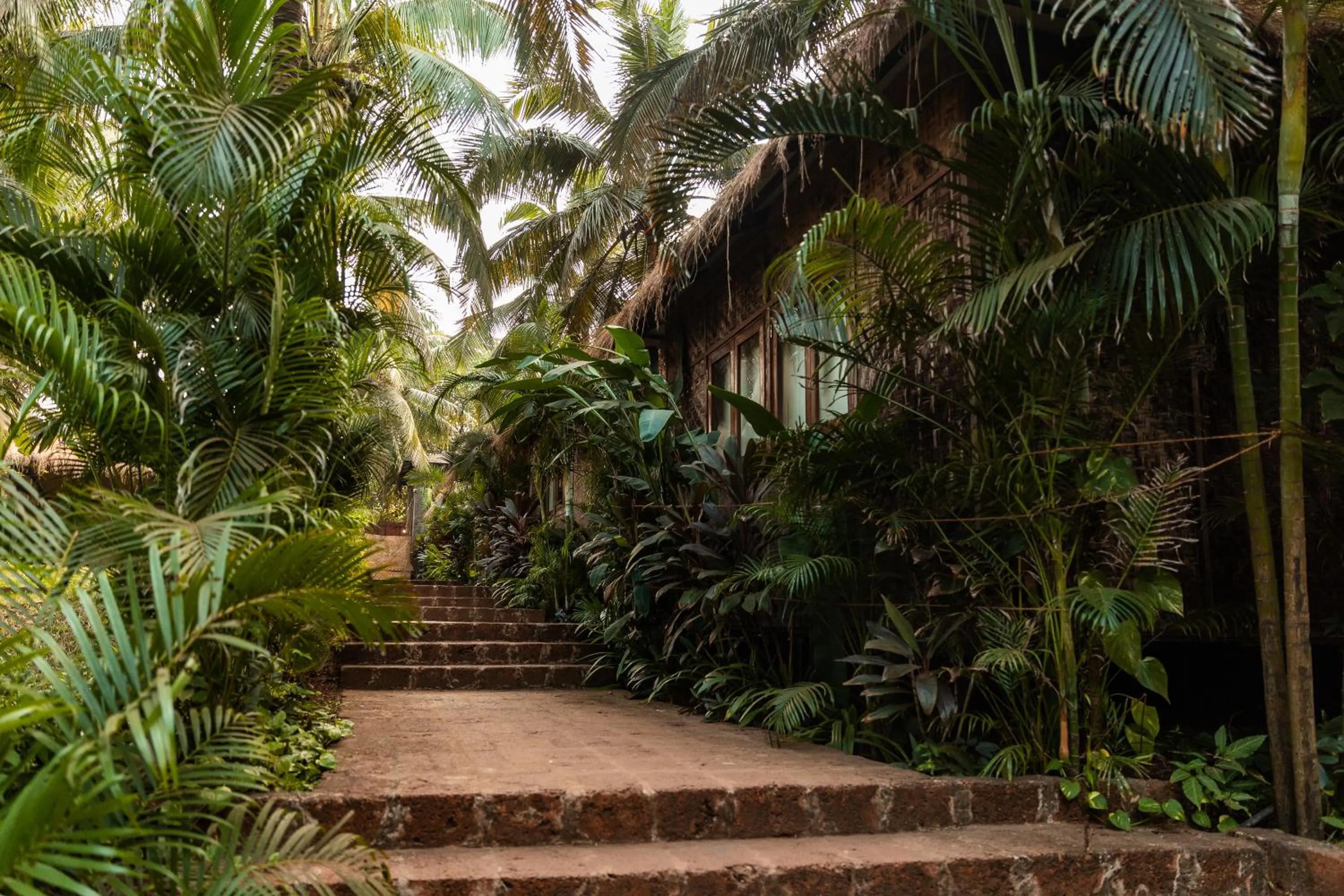 Natural landscape in Anahata Retreat Beach Front Ashwem Goa
