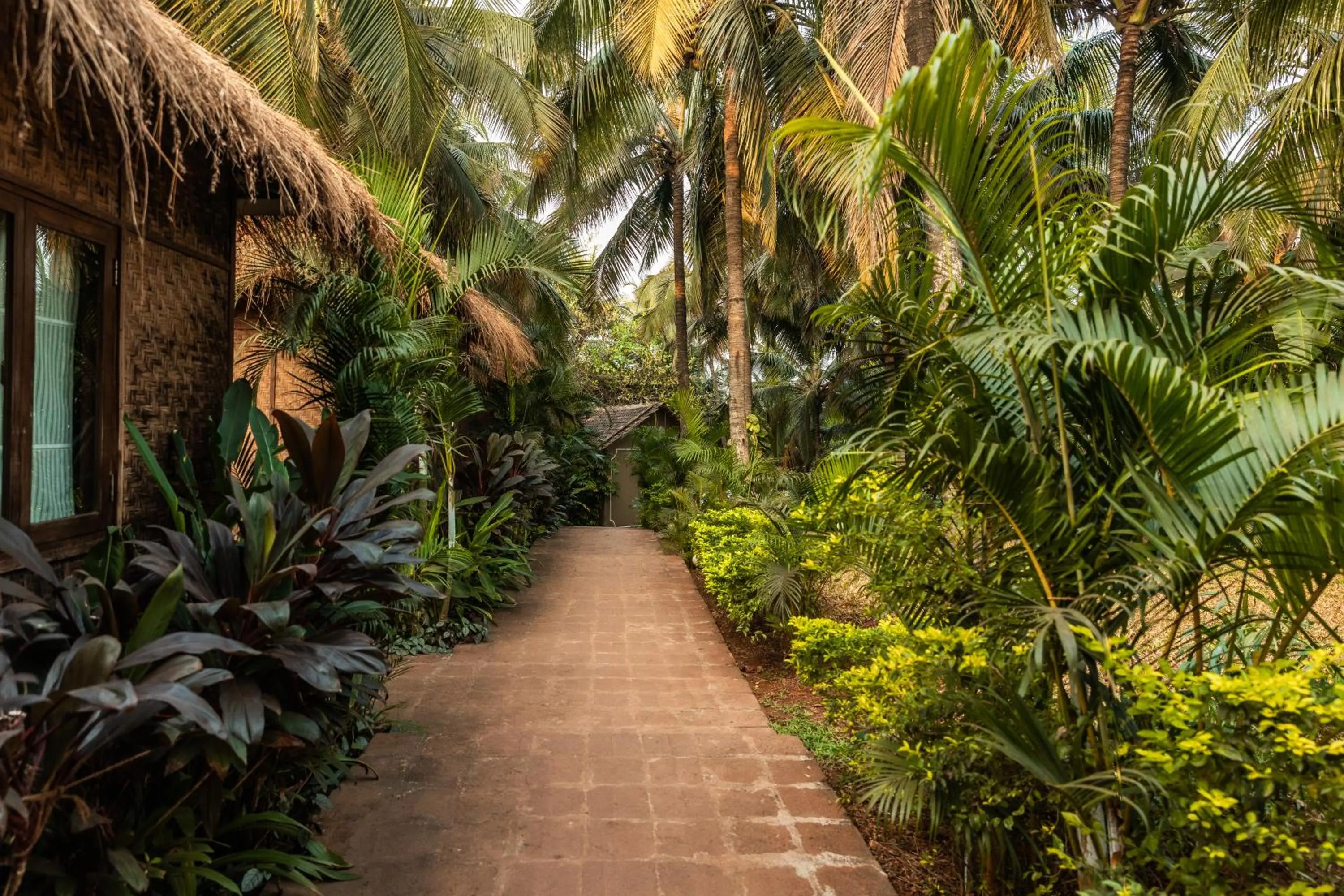 Natural landscape in Anahata Retreat Beach Front Ashwem Goa