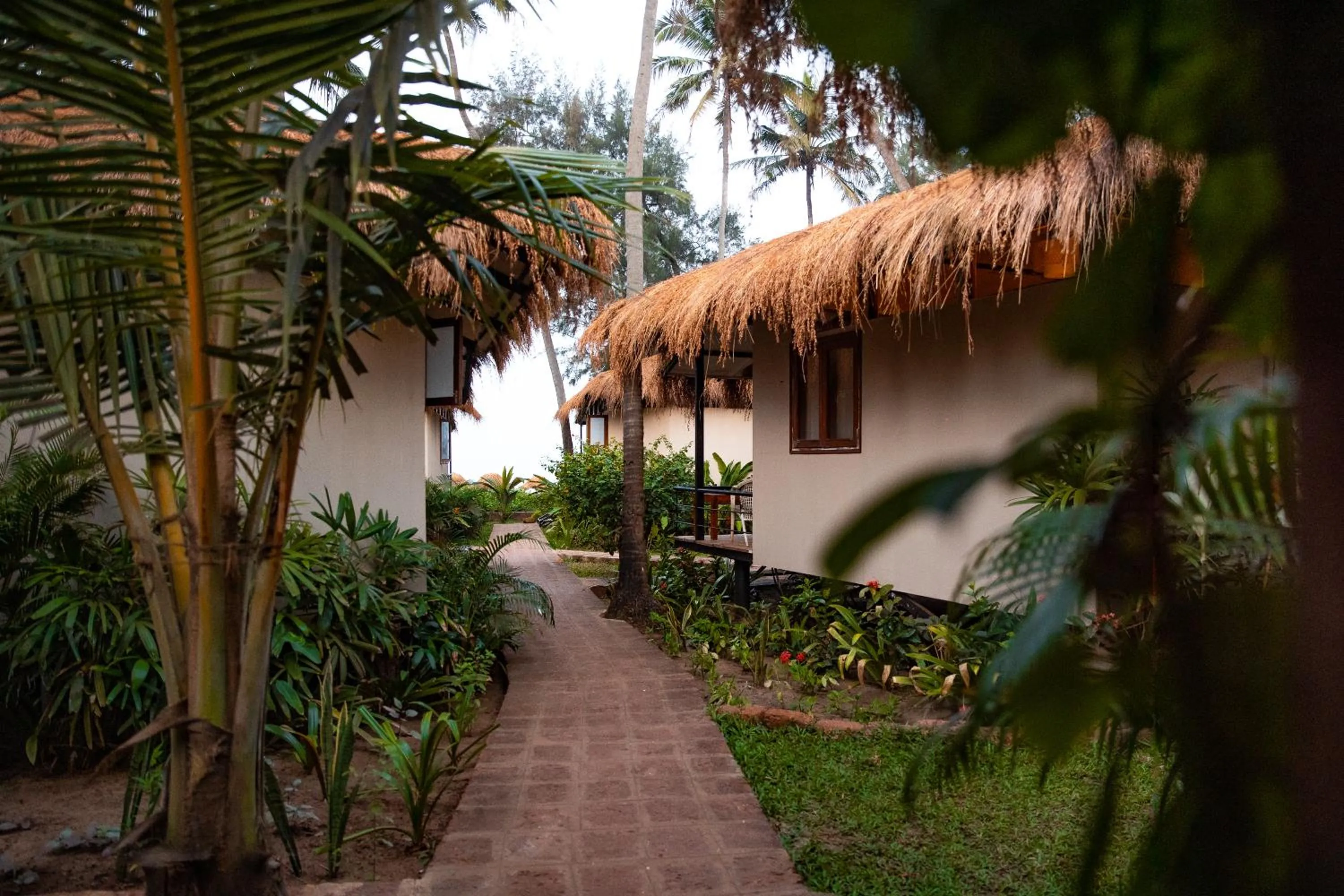 Natural landscape in Anahata Retreat Beach Front Ashwem Goa