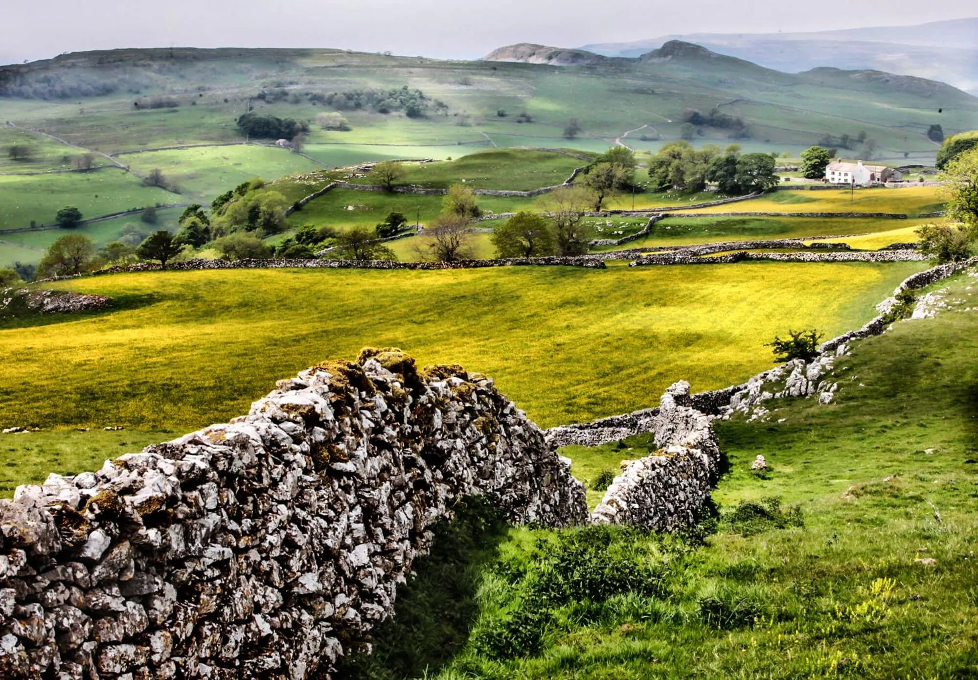 Natural landscape in Falcon Manor Hotel