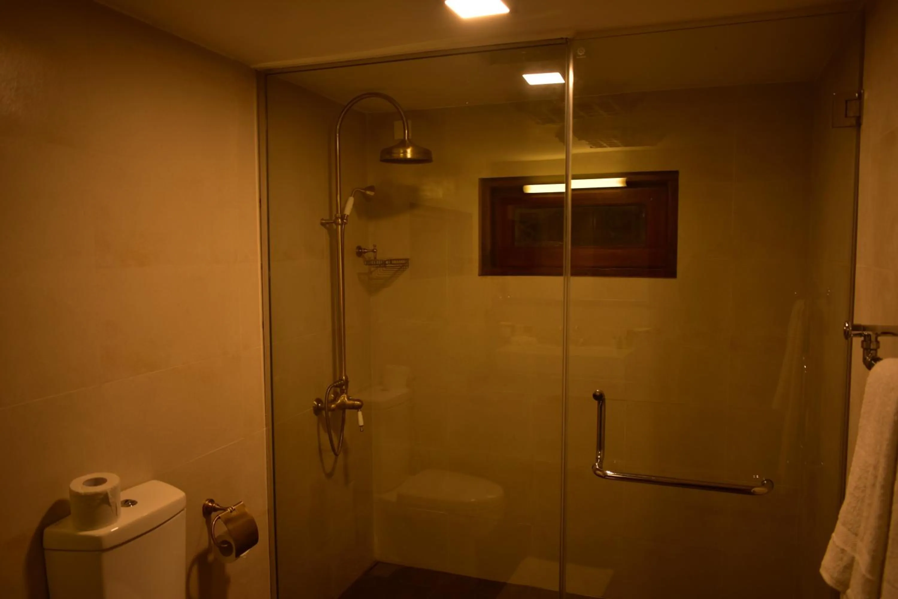 Shower in Hill Cottage