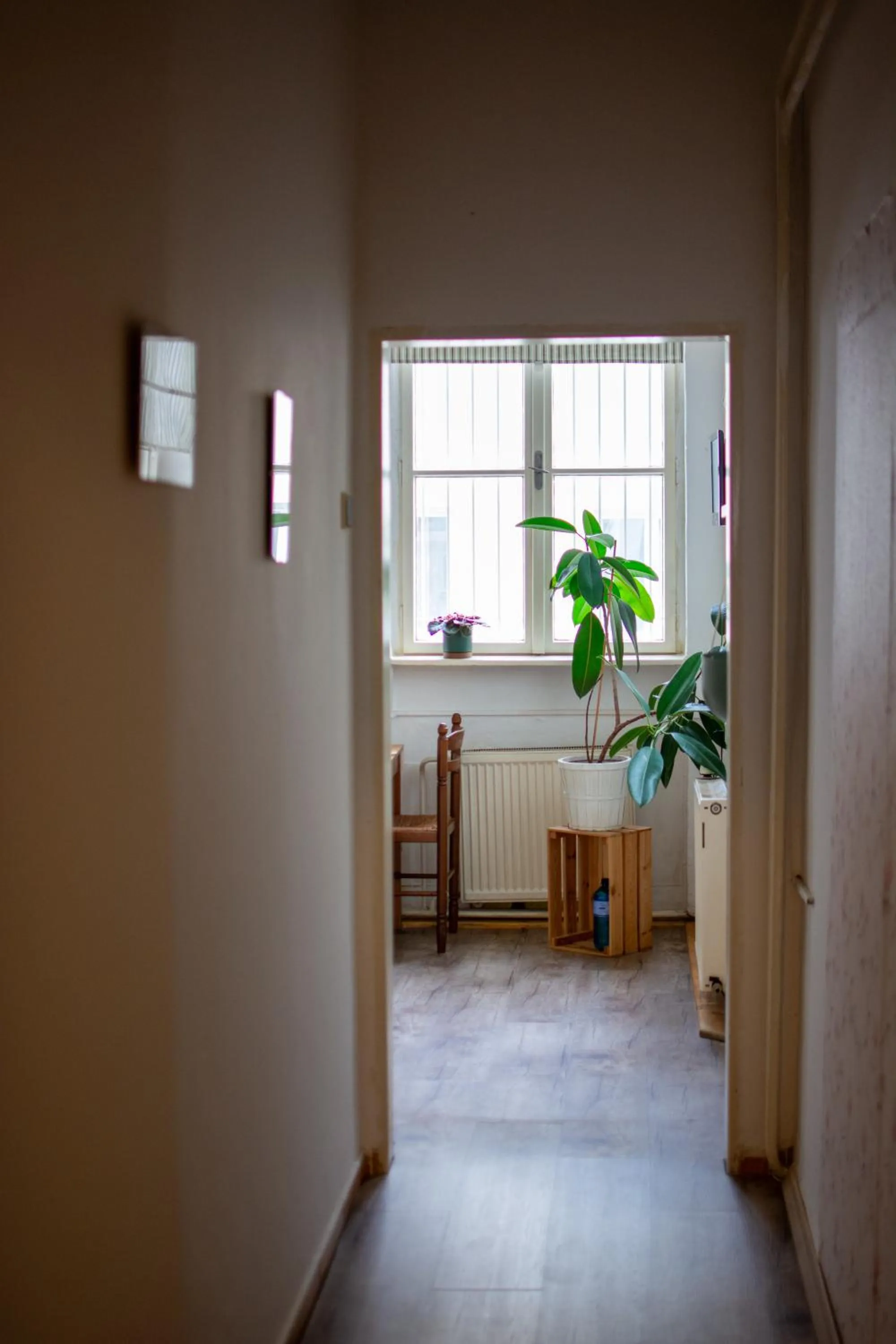 kitchen in Hostel Moravia Ostrava