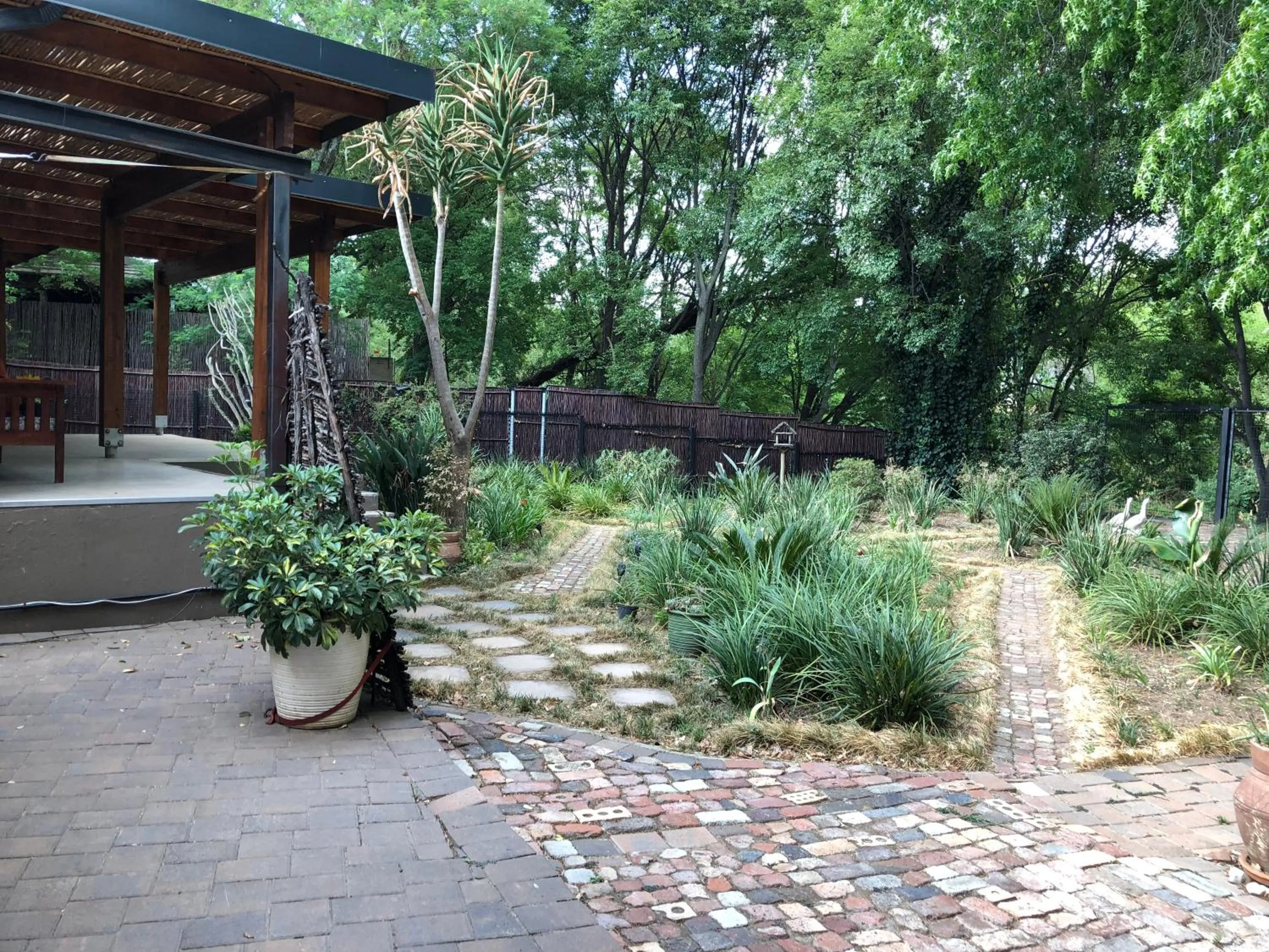Garden in Sand River Guest House