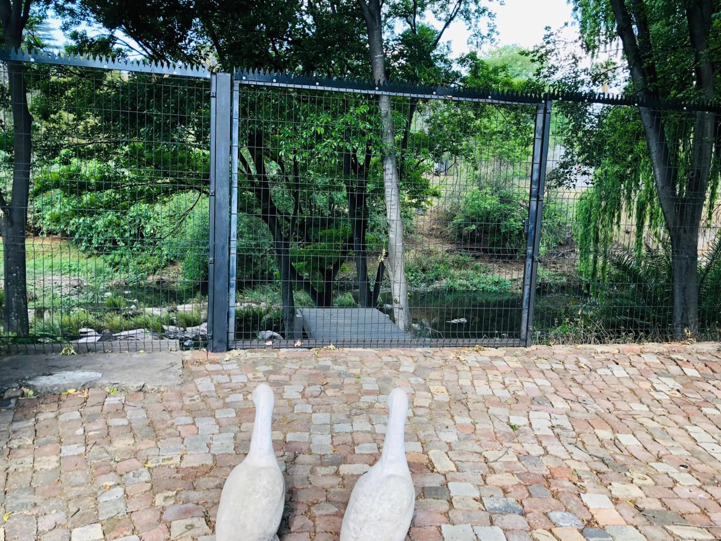 River view in Sand River Guest House