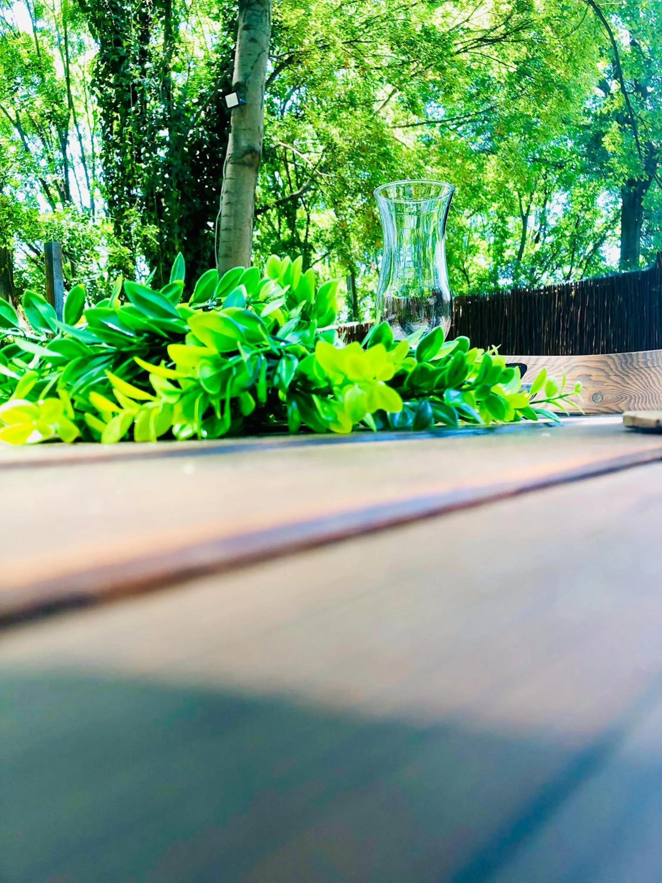 Natural landscape in Sand River Guest House