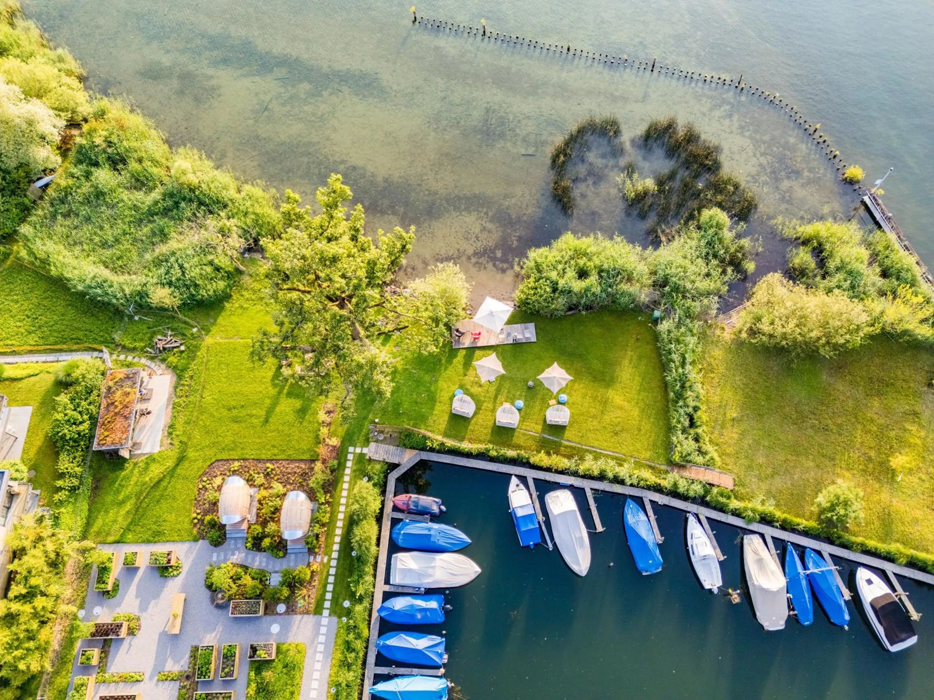 Natural landscape in Strandhotel Schmerikon
