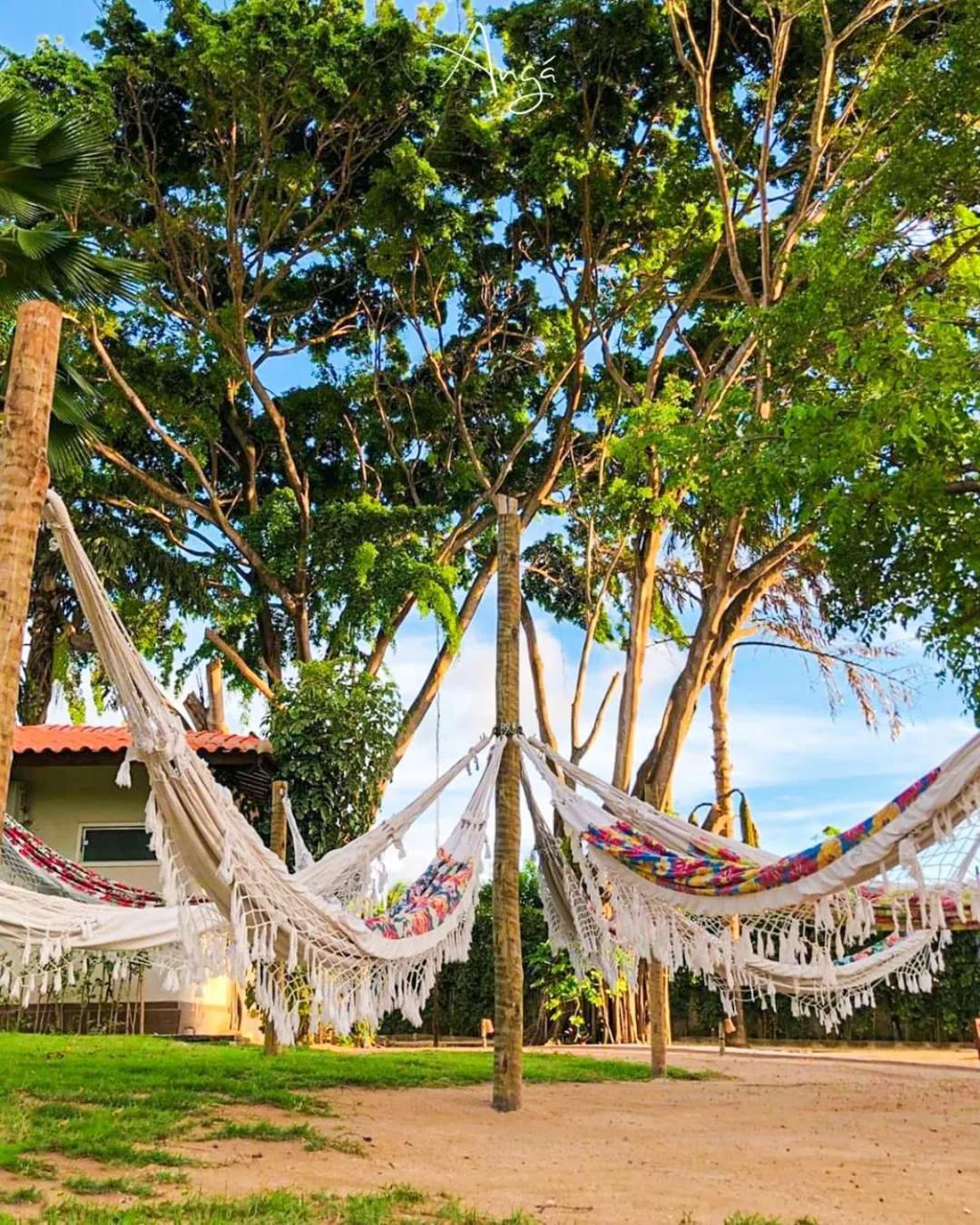 Guests in Angá Beach Hotel