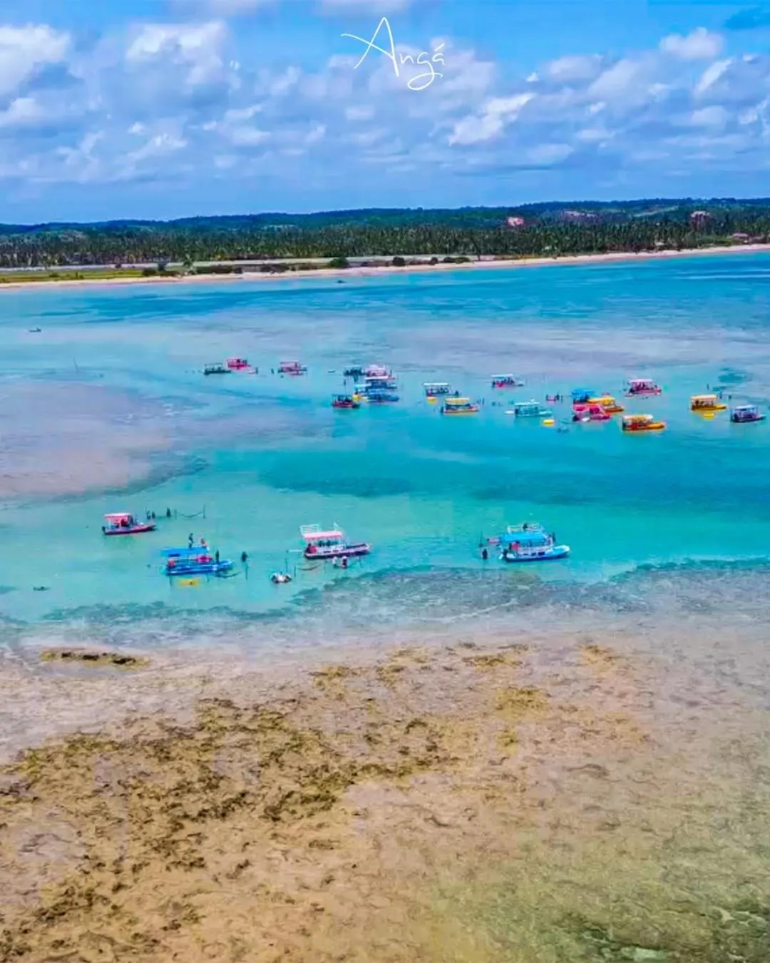 Beach in Angá Beach Hotel