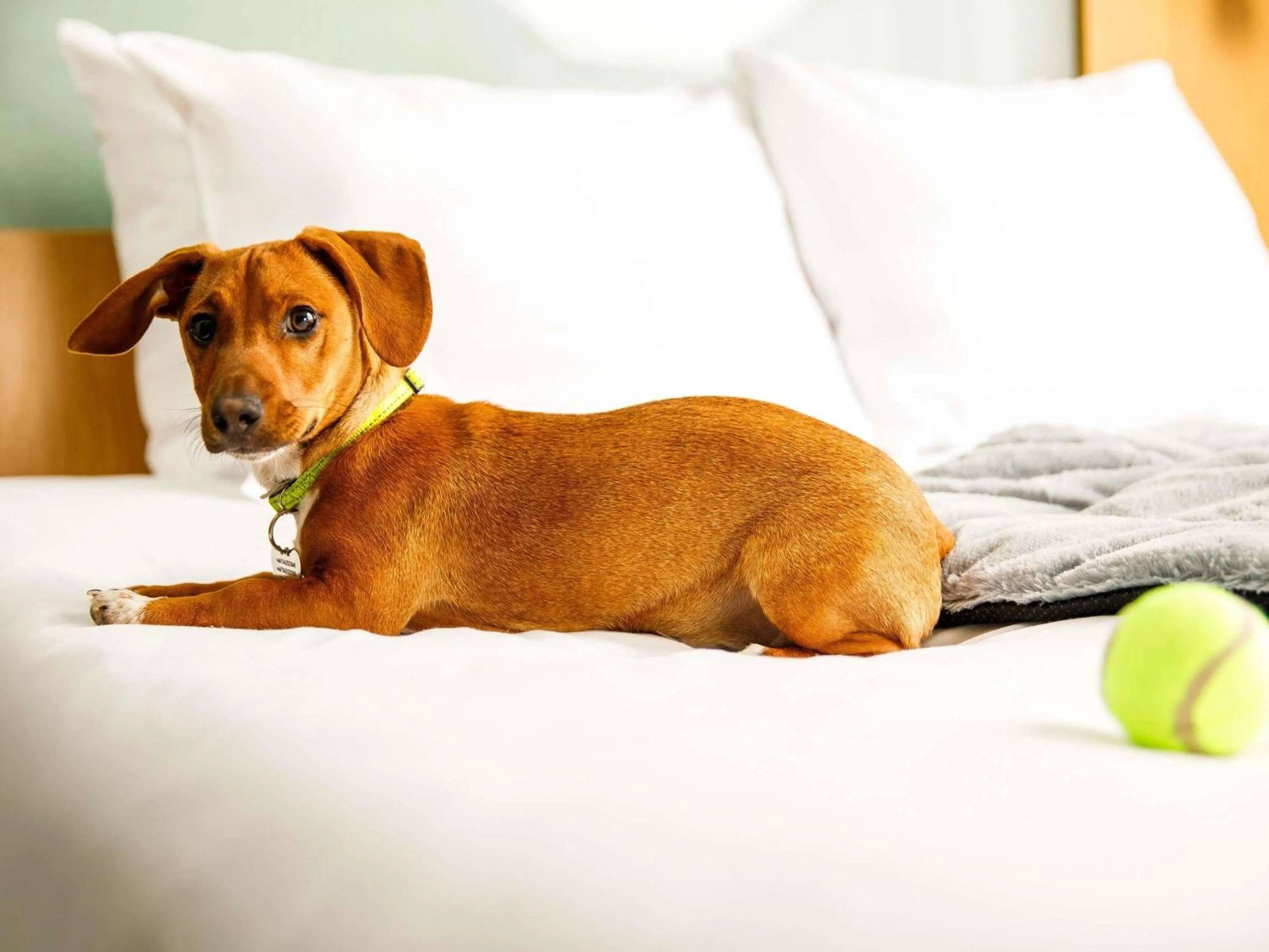 Other in The Harlow Hotel By AccorHotels