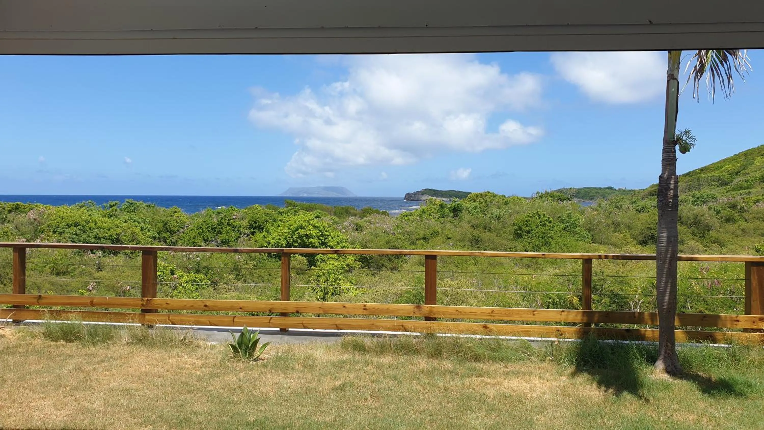 Garden in Villa Tarare