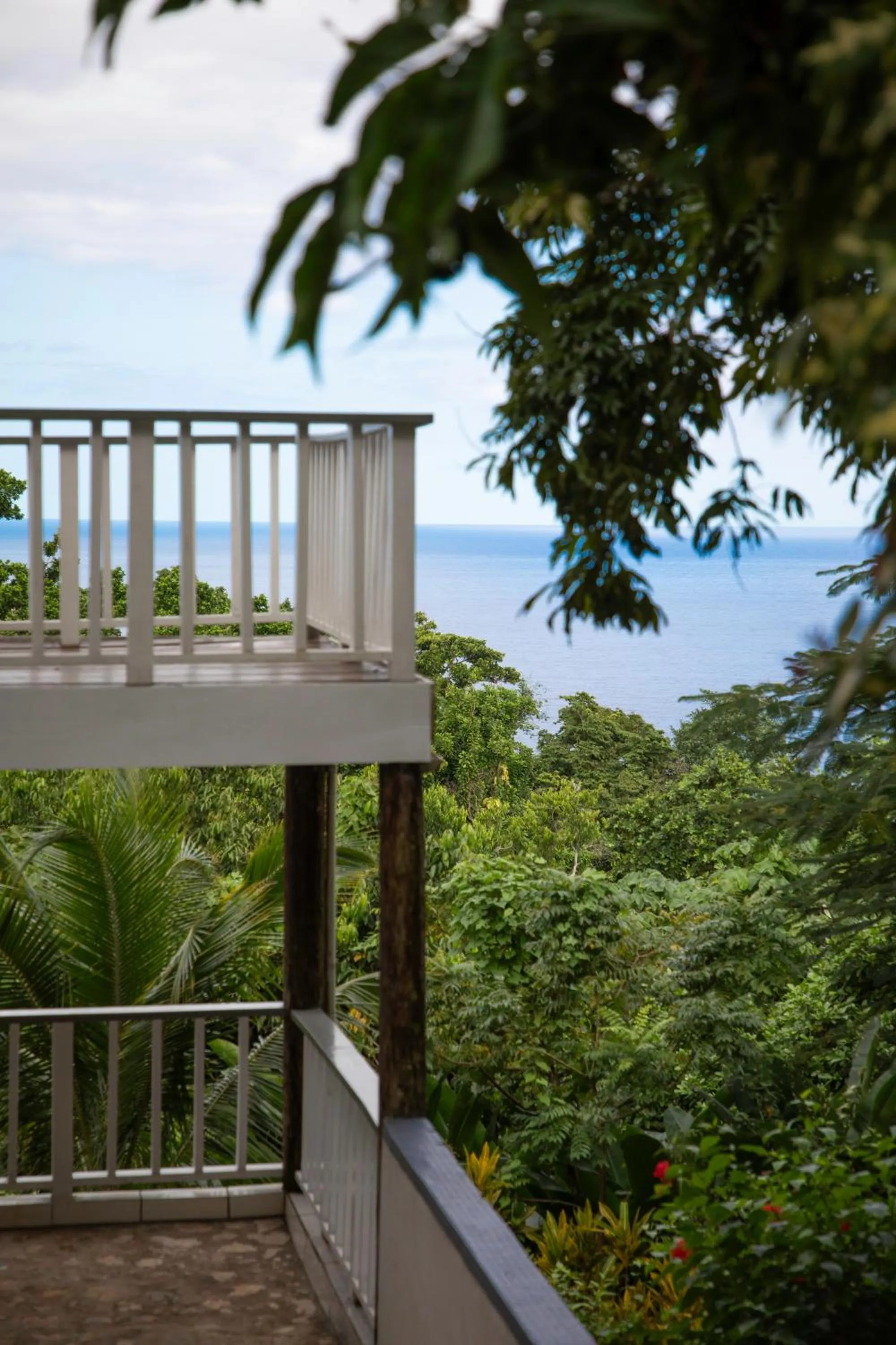 Property building in LF Jungle Retreat