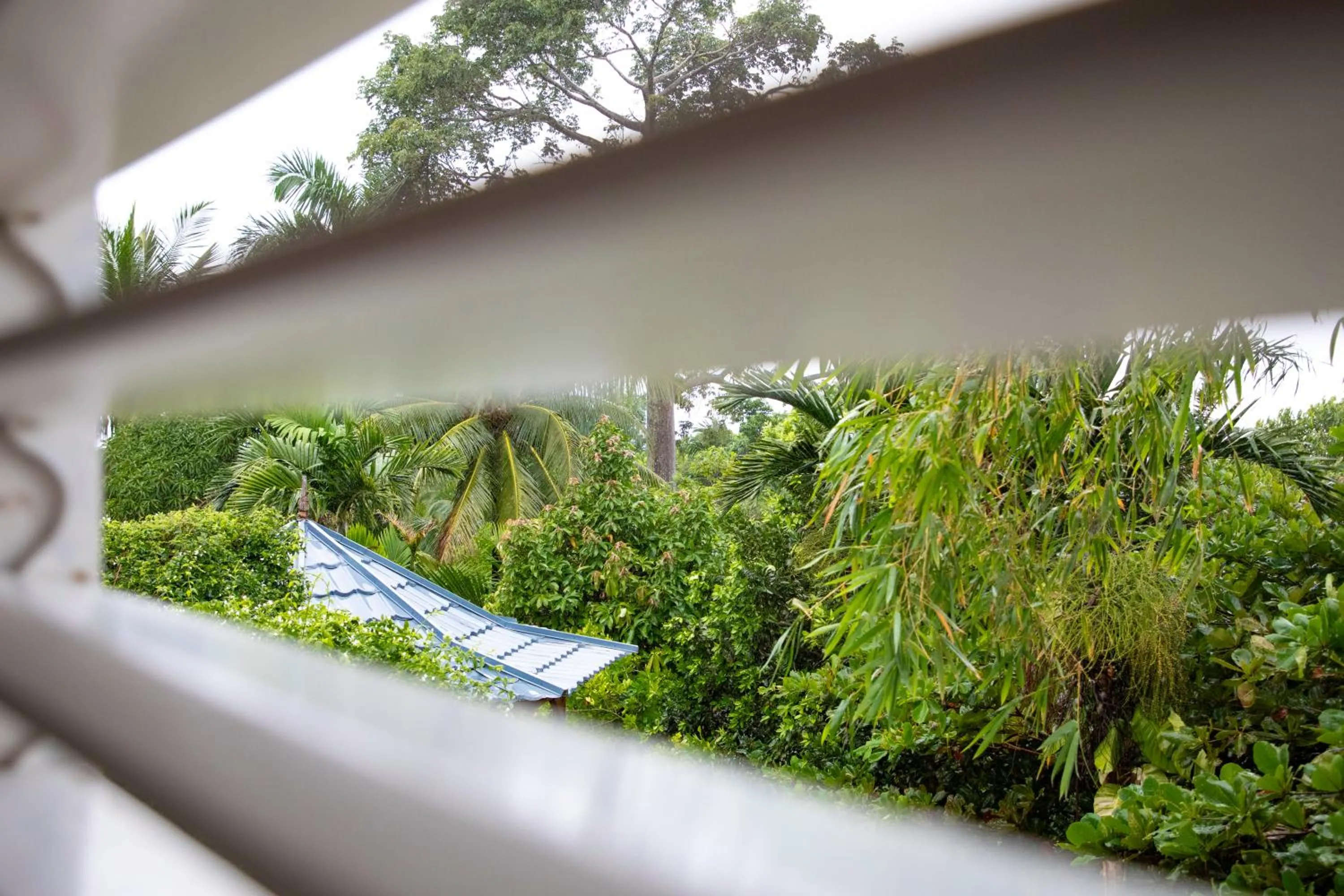 Property building in LF Jungle Retreat