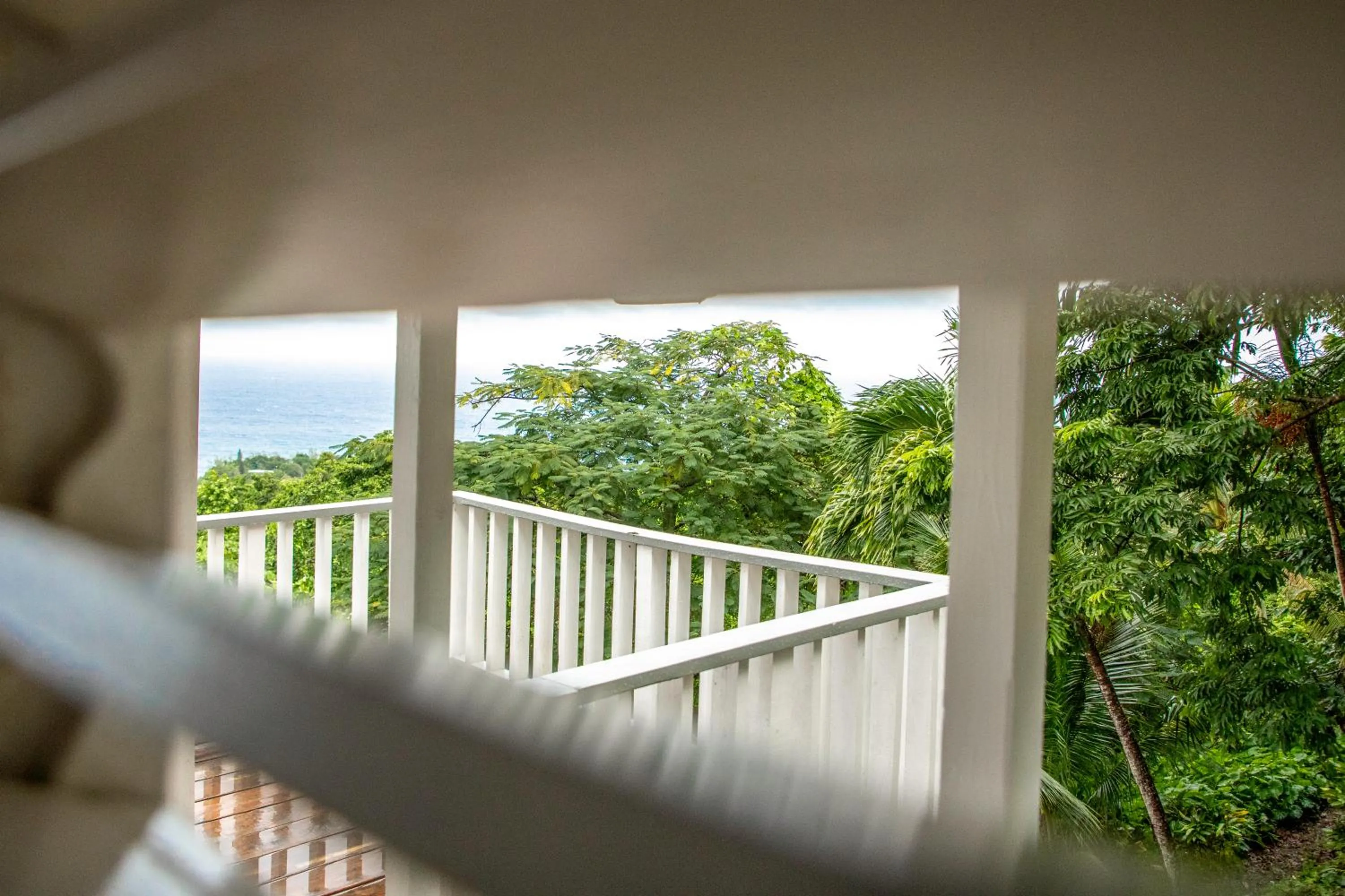 Property building in LF Jungle Retreat