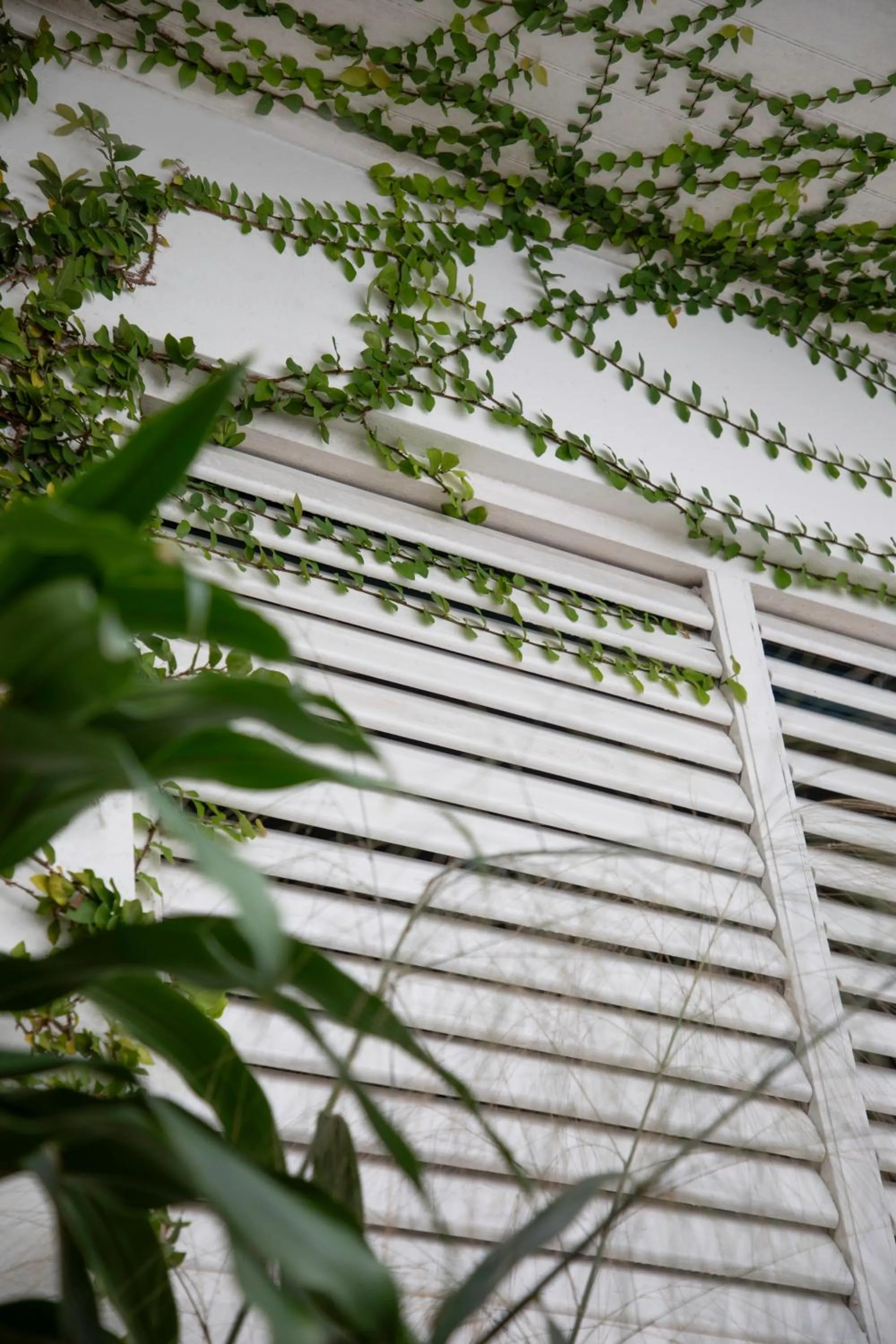 Property building in LF Jungle Retreat