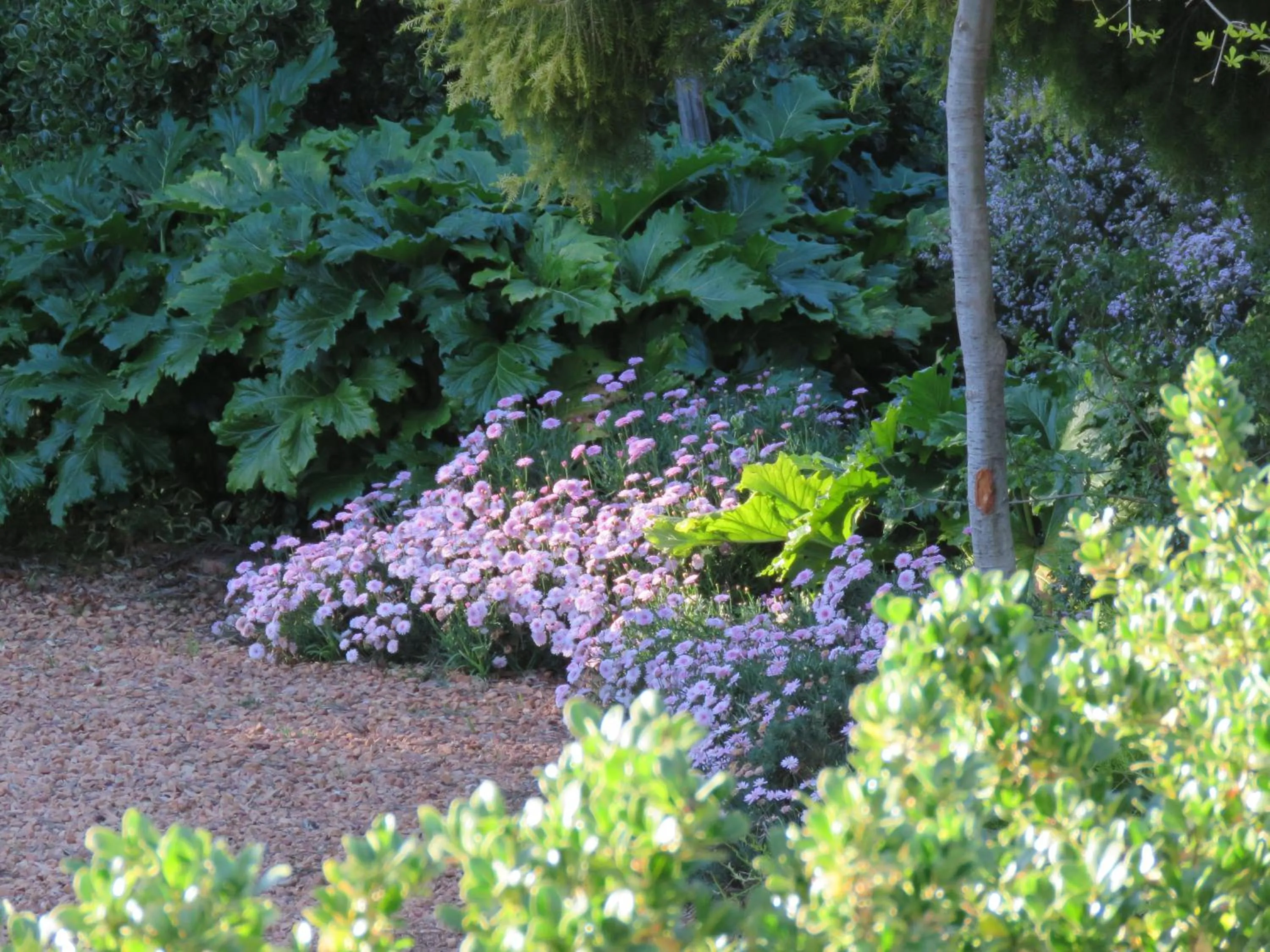 Garden in Sandy's Place