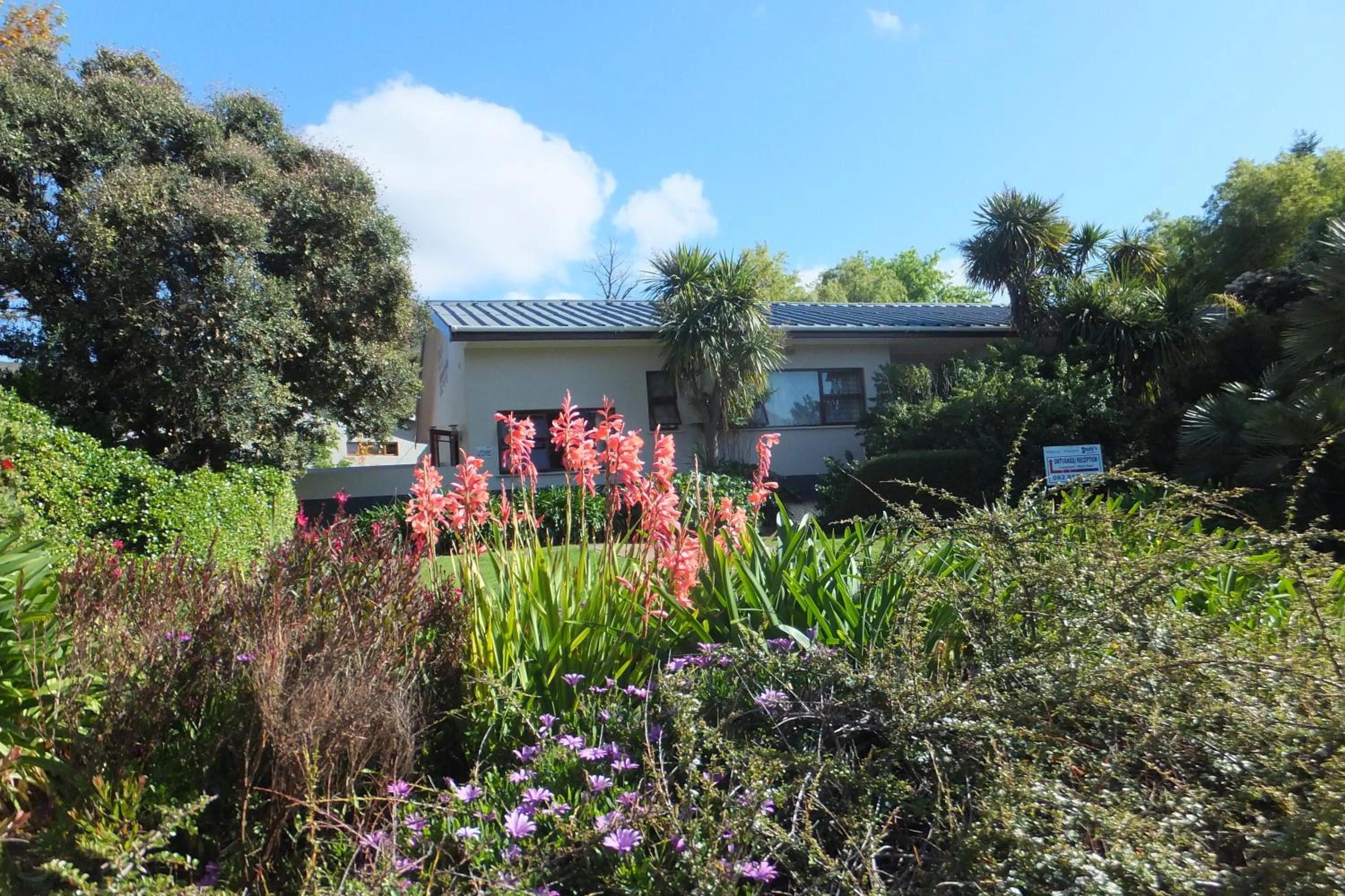 Spring in Sandy's Place