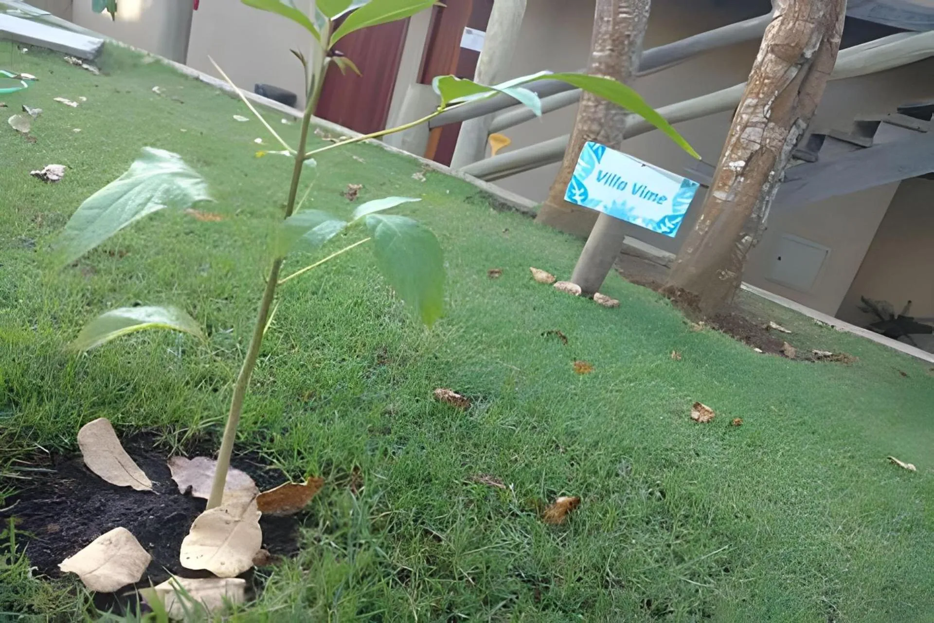 Garden in Villas do Pratagy