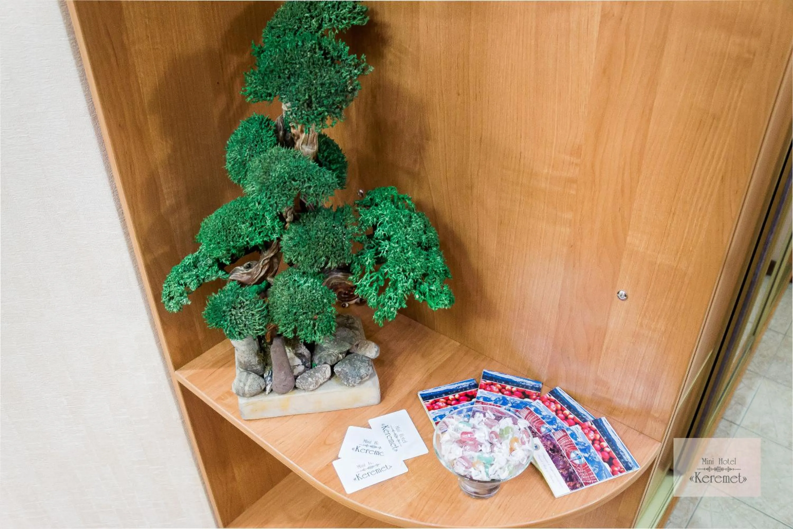 Other in Apartment 5