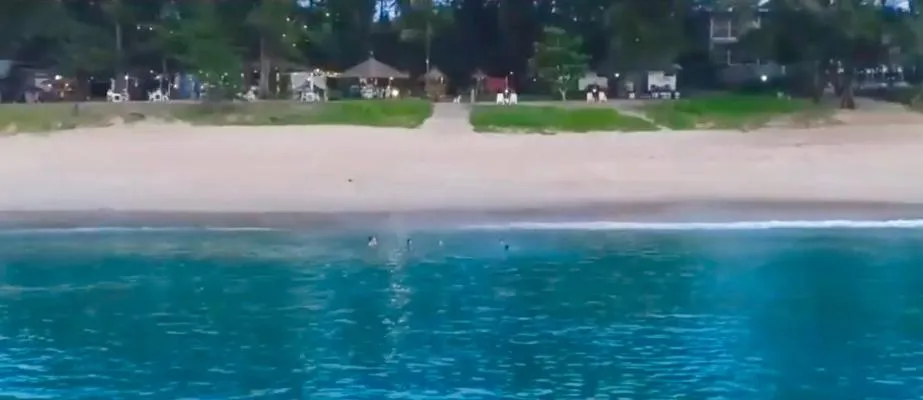 Micky Monkey Beach Hotel Phuket Maikhao Thailand