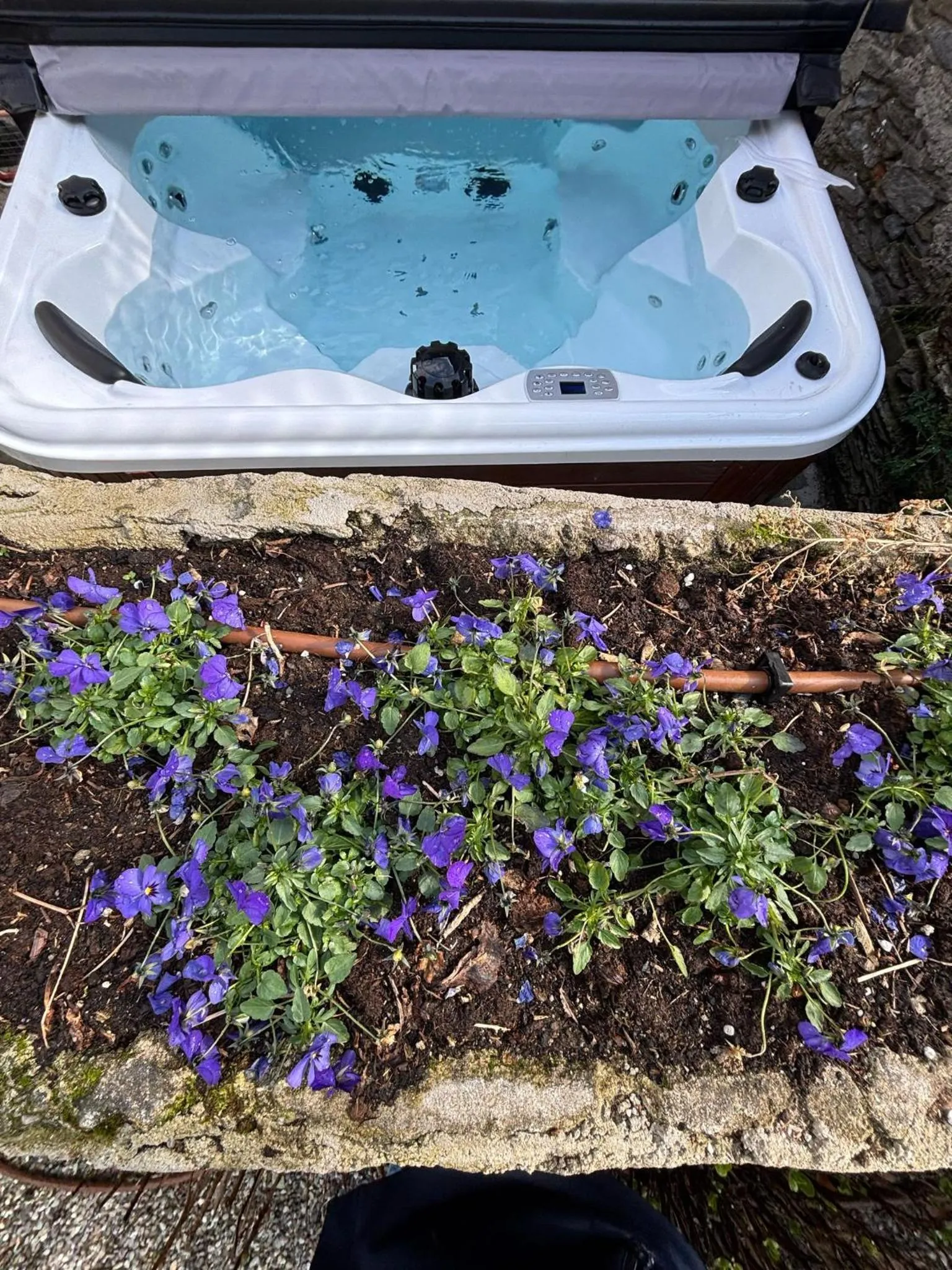 Stresa Complex LevOasi