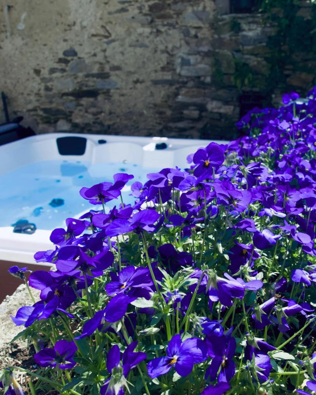 Stresa Complex LevOasi