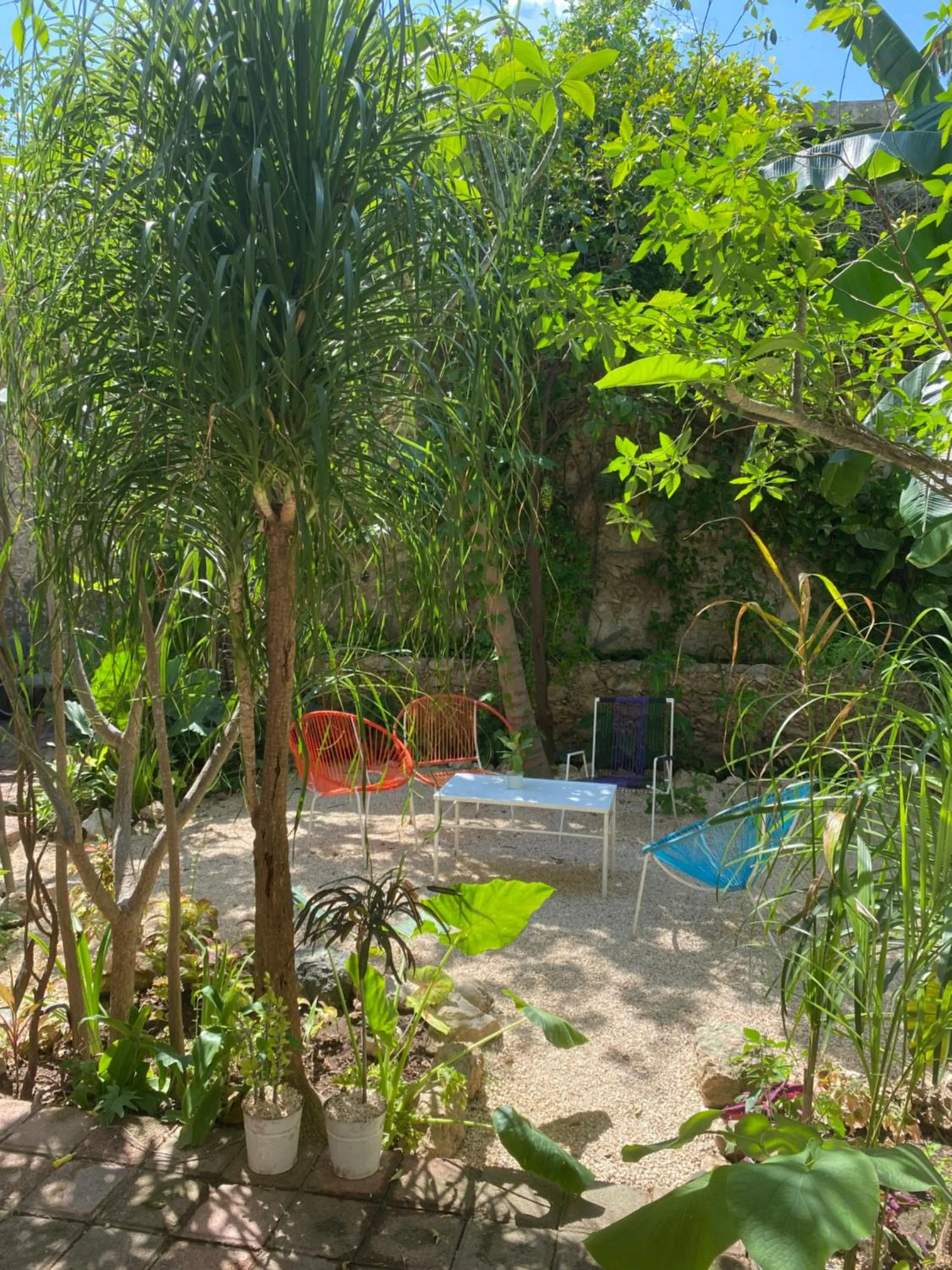 Garden in Hotel La Piazzetta