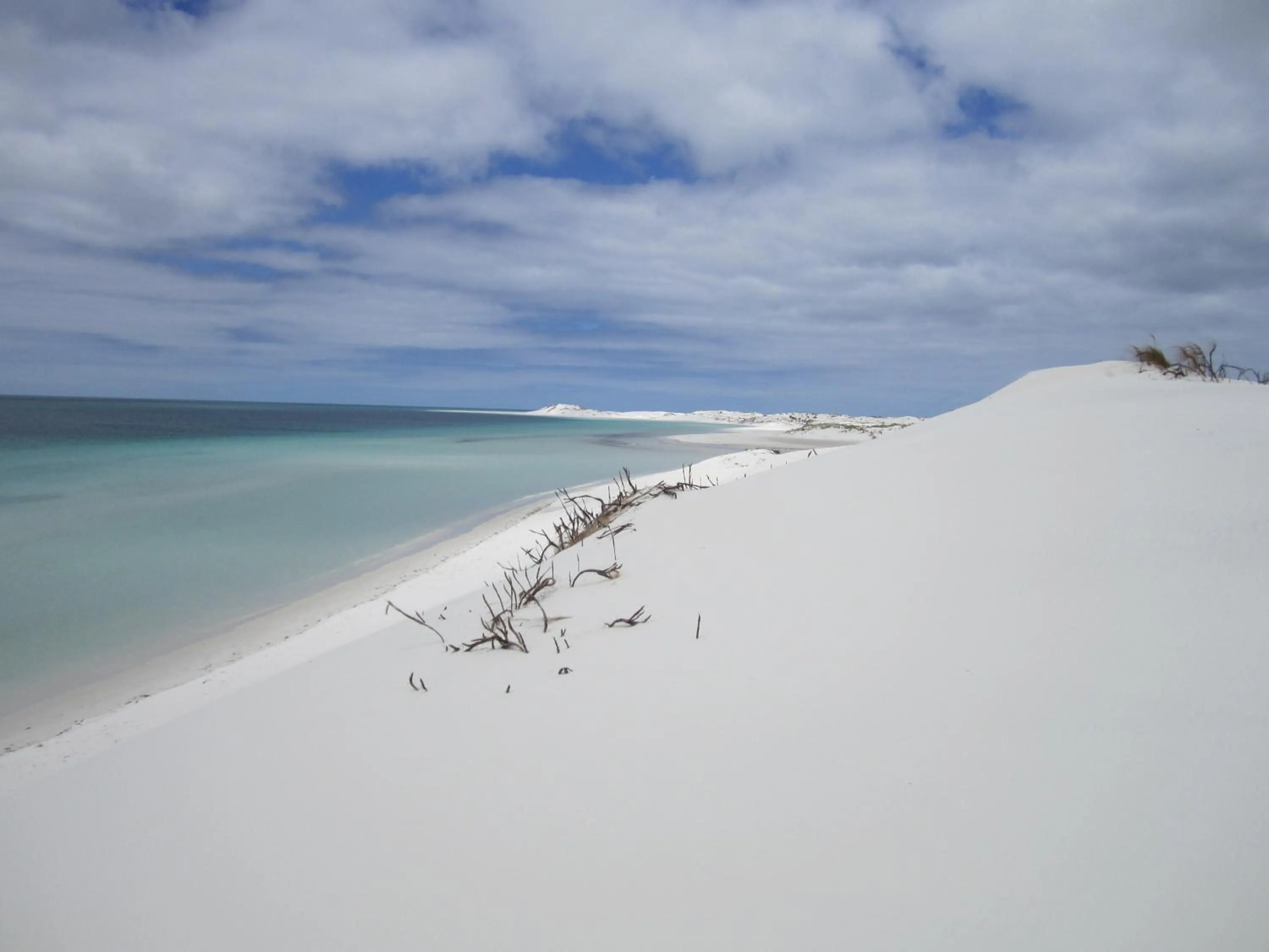 Beach in Pukenui Lodge Motel