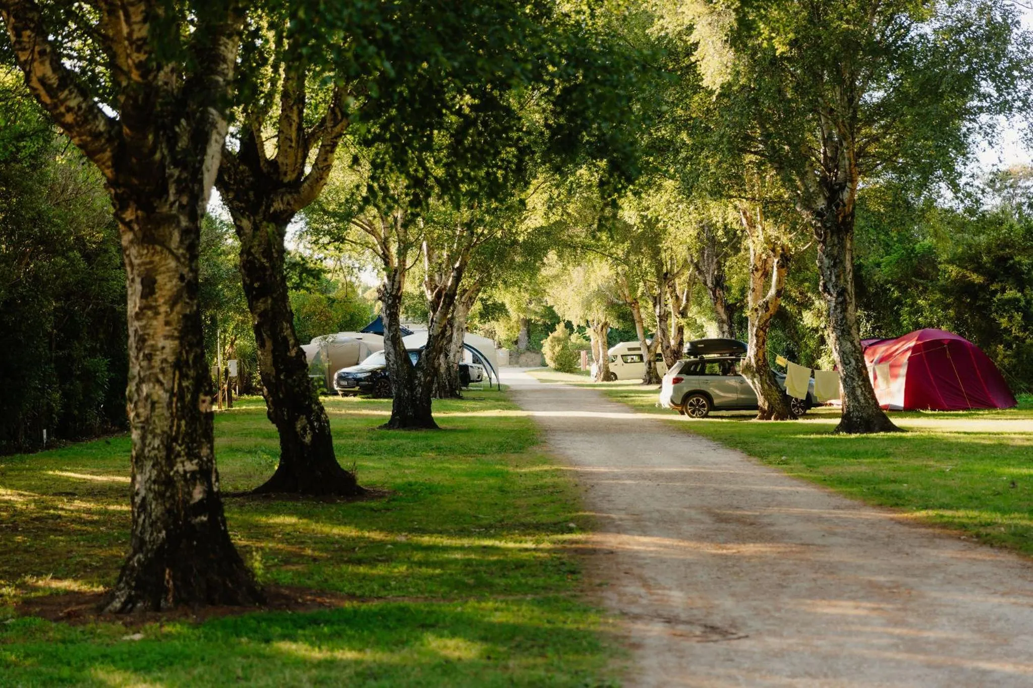 Natural landscape in Golden Bay Holiday Park