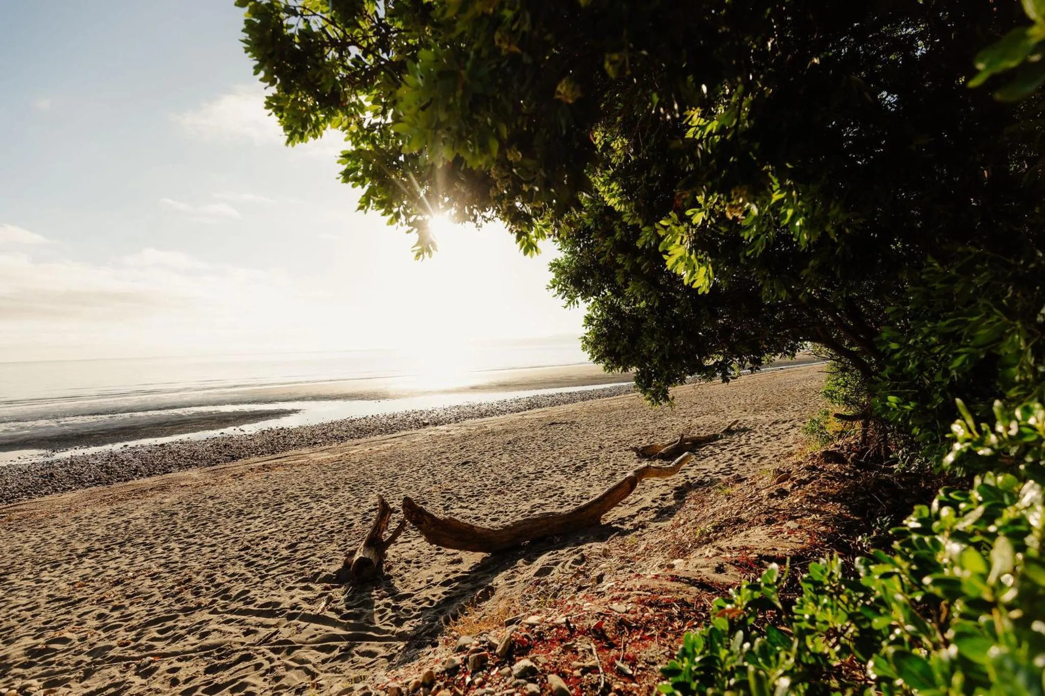 Spring in Golden Bay Holiday Park